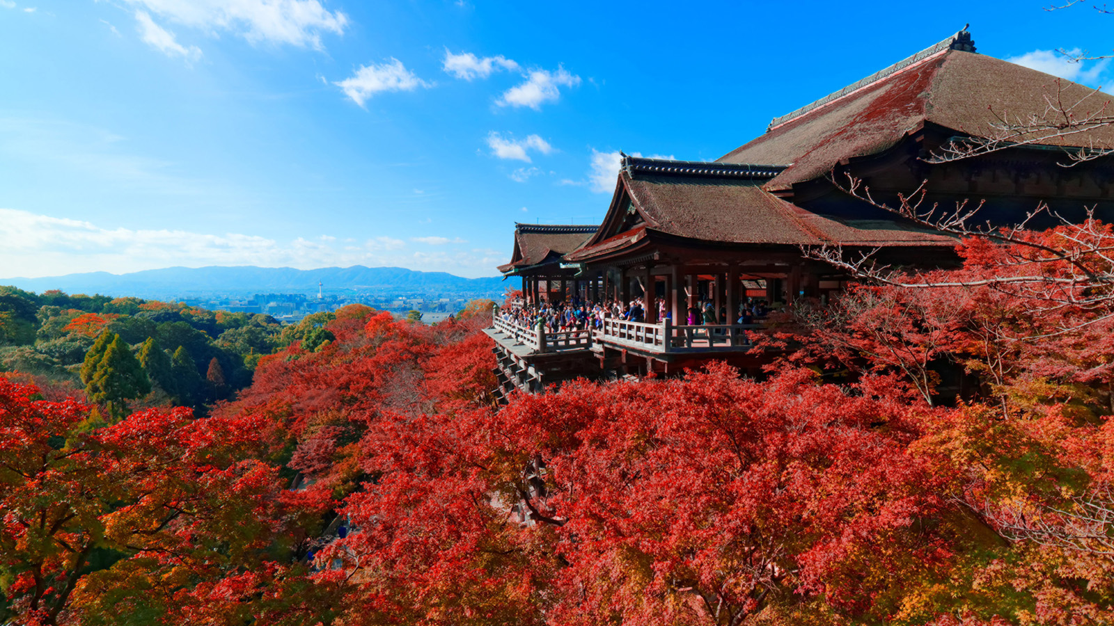 kyoto-then-now-and-forever-the-heart-of-japan-beats-here