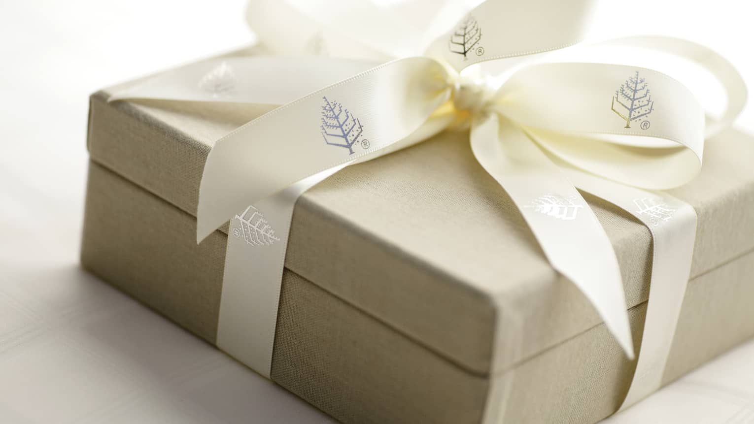 Light brown, square gift card box tied with a cream-colored ribbon featuring the Four Seasons tree logo