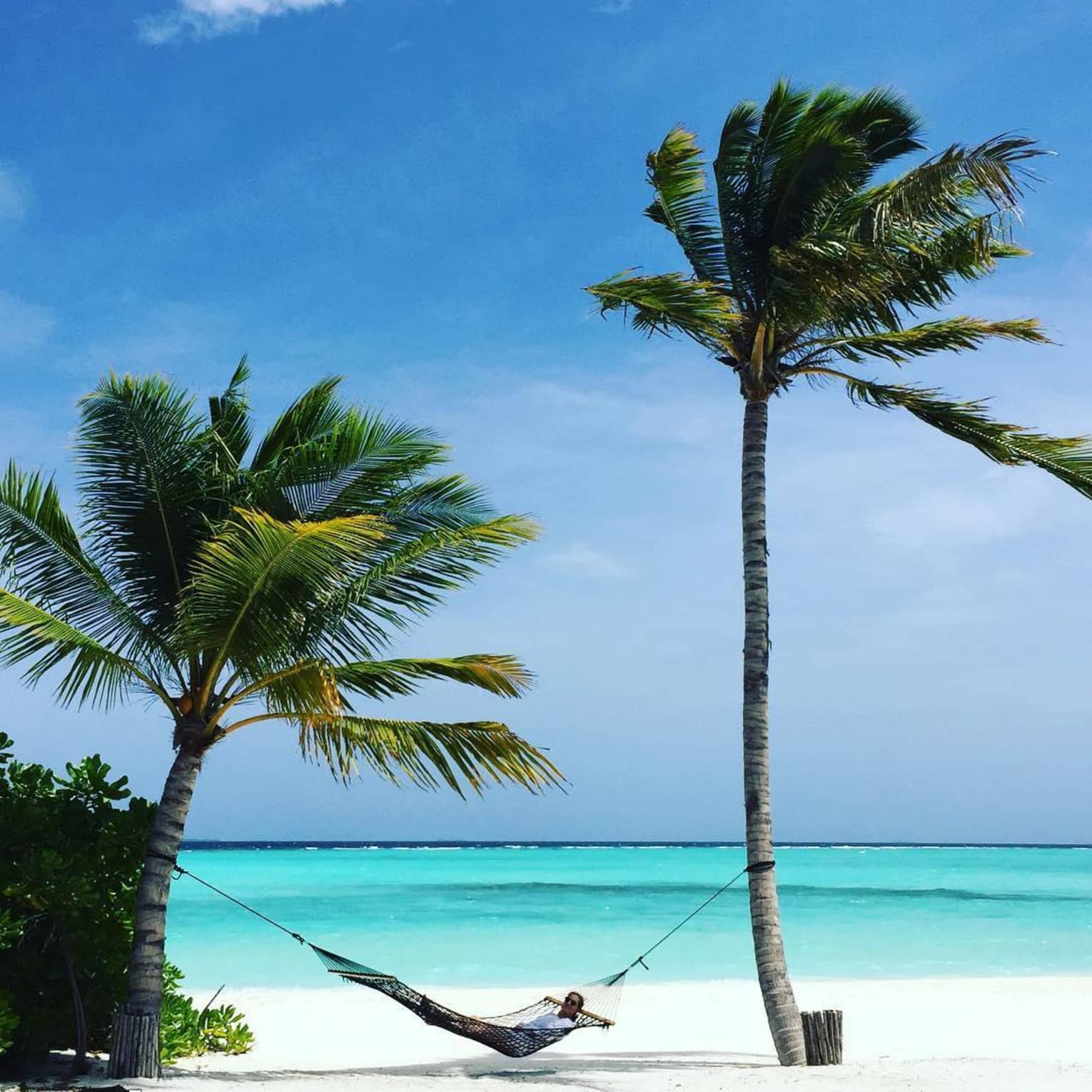 Person relaxes in hammock between two tall palm trees on white sand beach