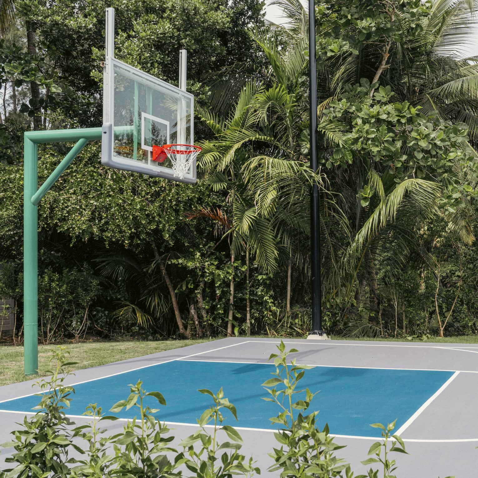 Basketball court surrounded by tropical trees