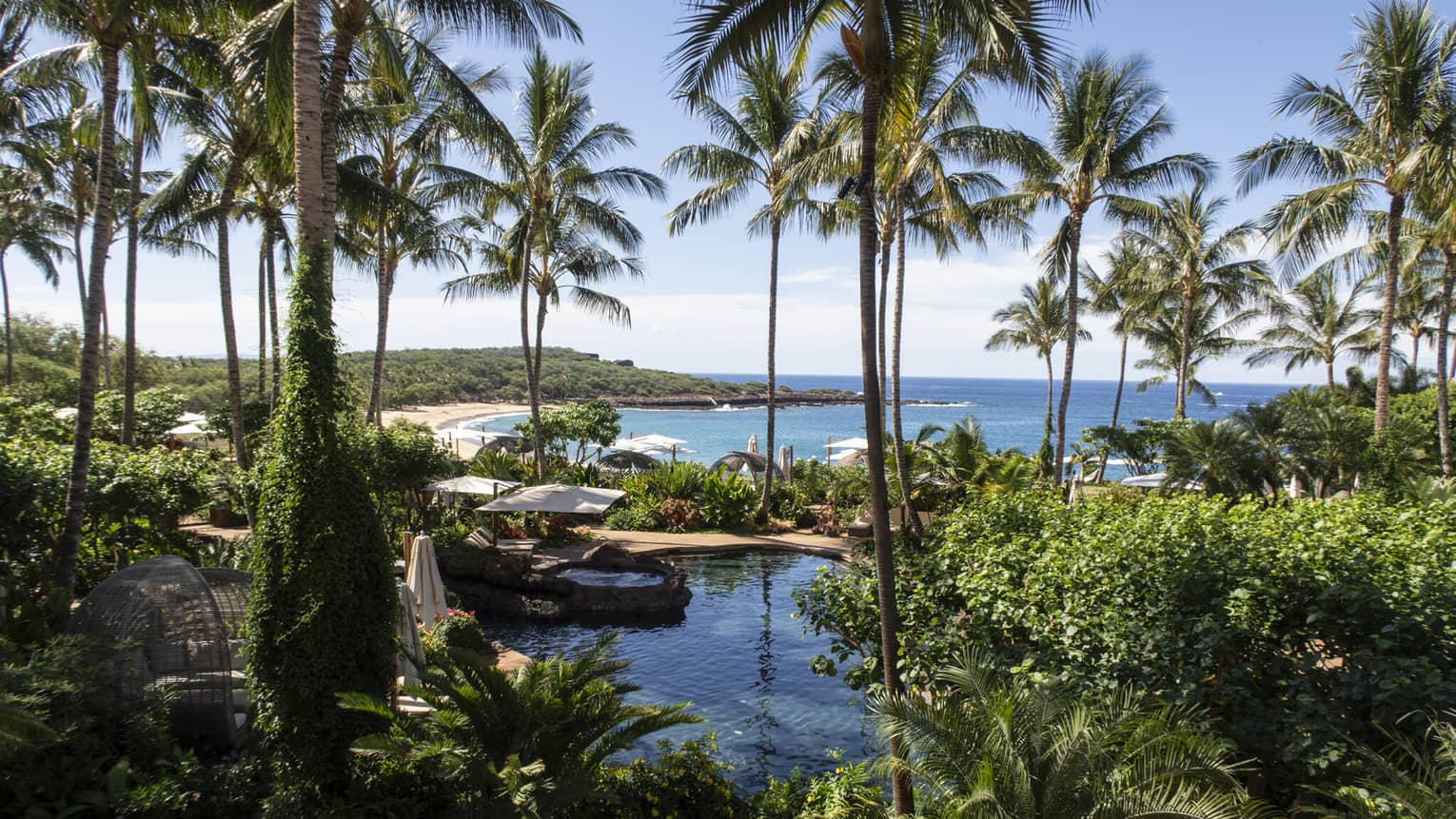 The sunny resort framed by trees