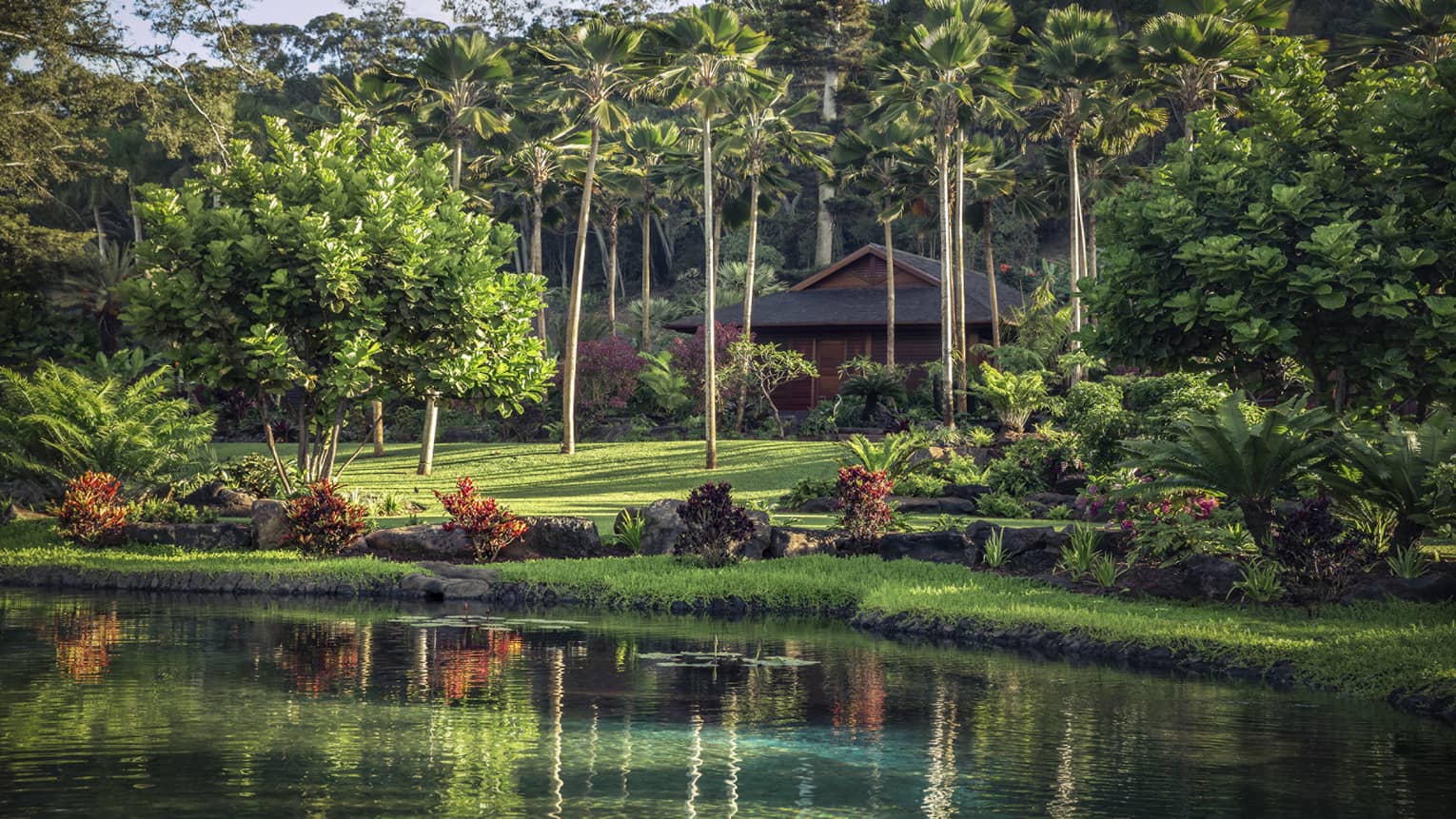 Lush green lawn with palm trees and pond