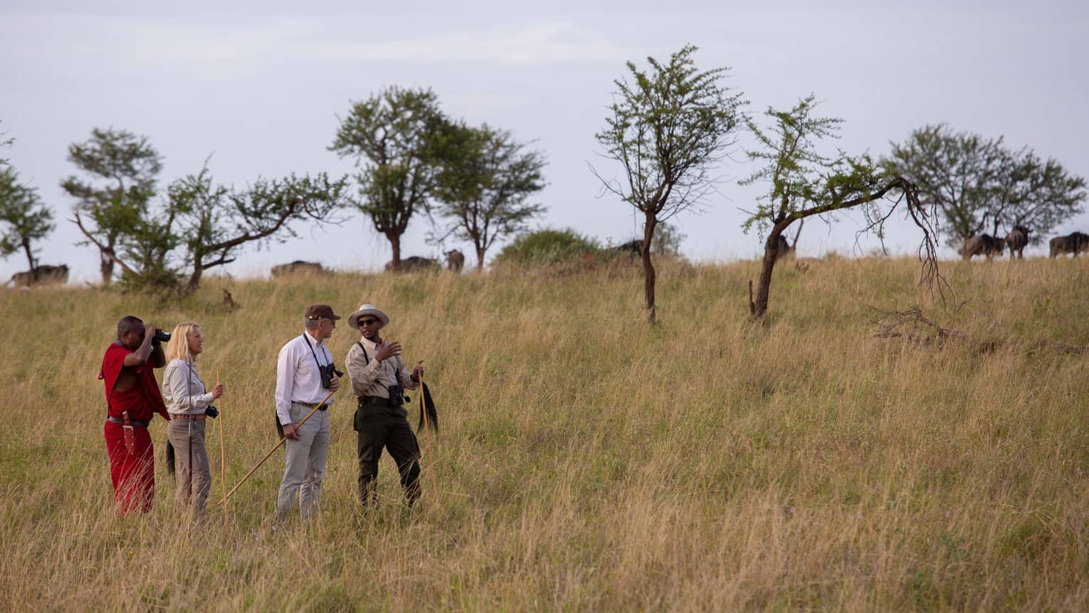 Two guests standing with two adventure guides on a grassy plain with trees dotting the backdrop