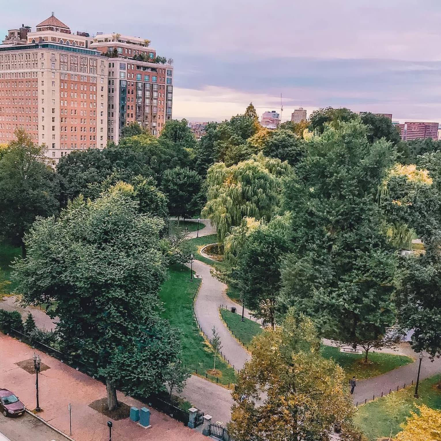 Aerial view over Boston park, trees, building in background