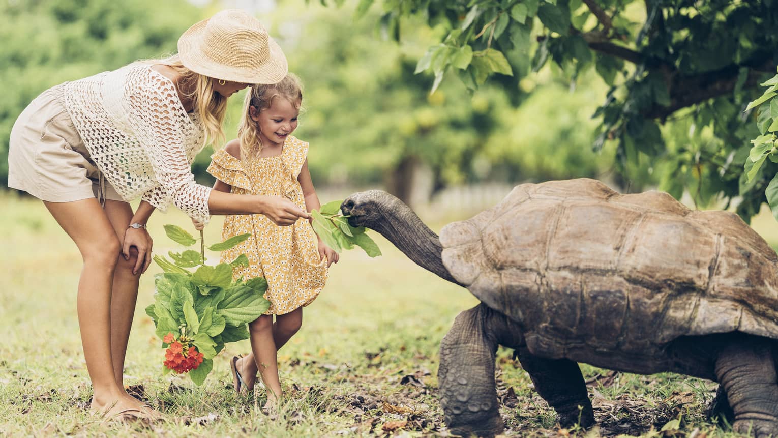 A parent feeds leaves to a giant tortoise as tall as the midsection of the smiling child holding another leafy branch.