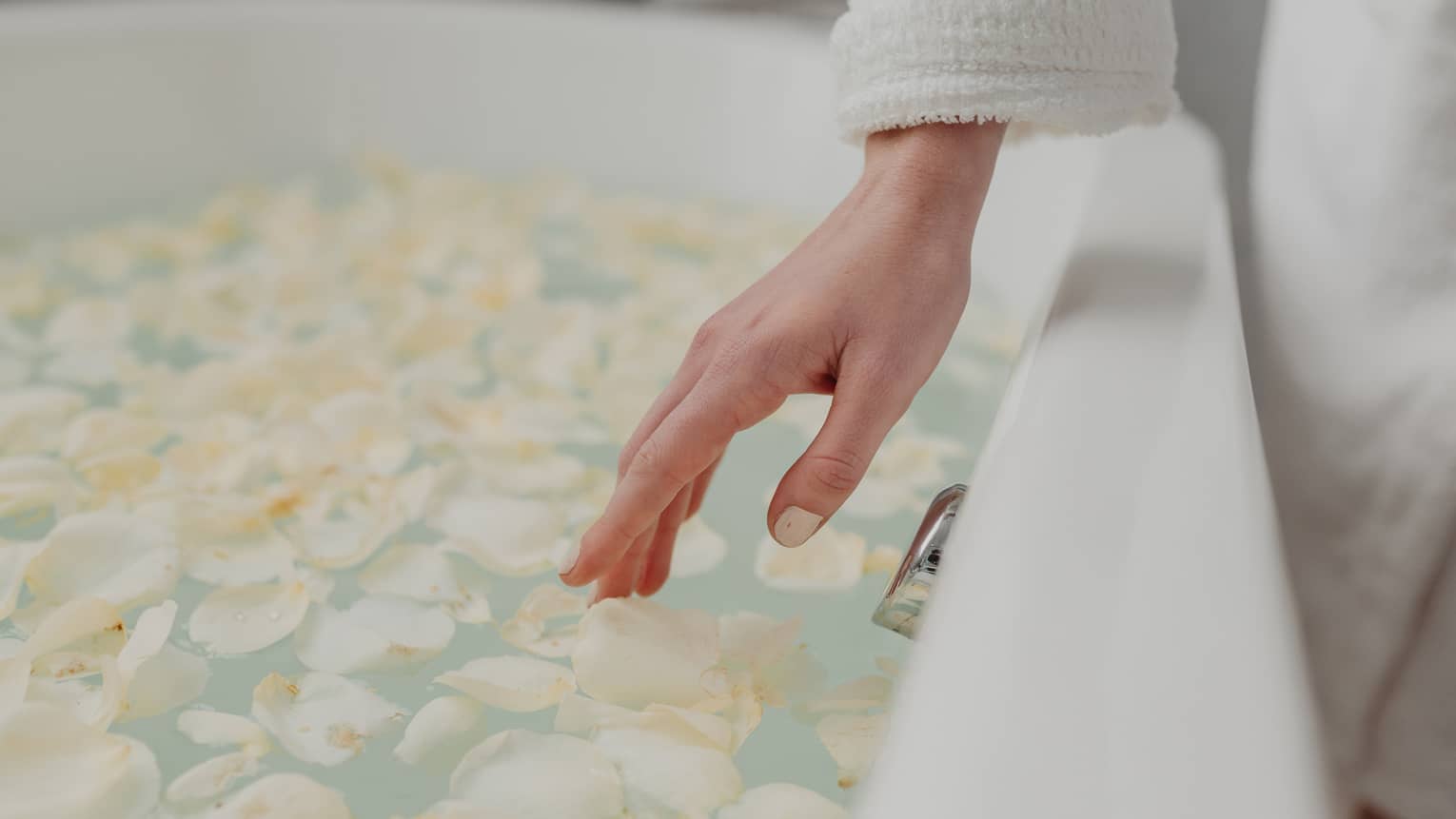 A person's hand touches the delicate white flower petals in a bath