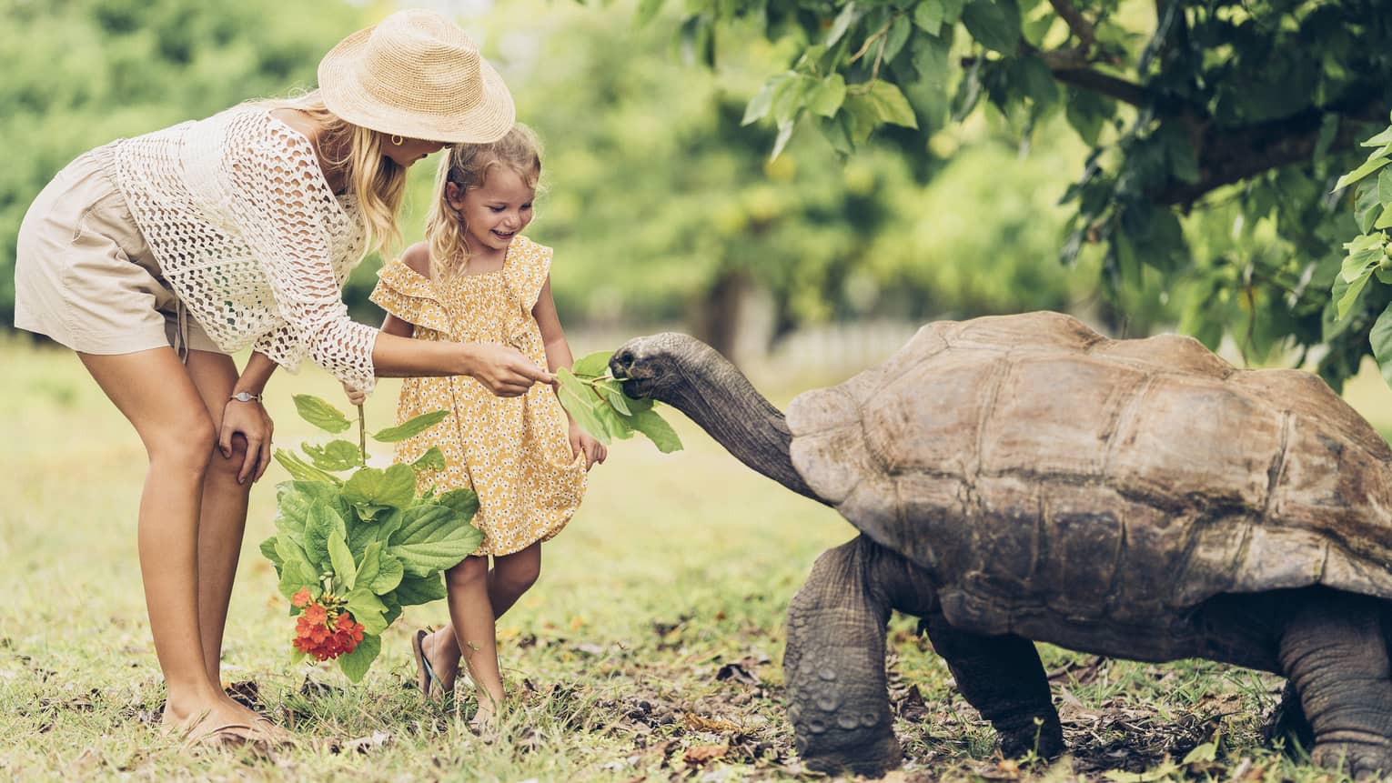 A parent feeds leaves to a giant tortoise as tall as the midsection of the smiling child holding another leafy branch.