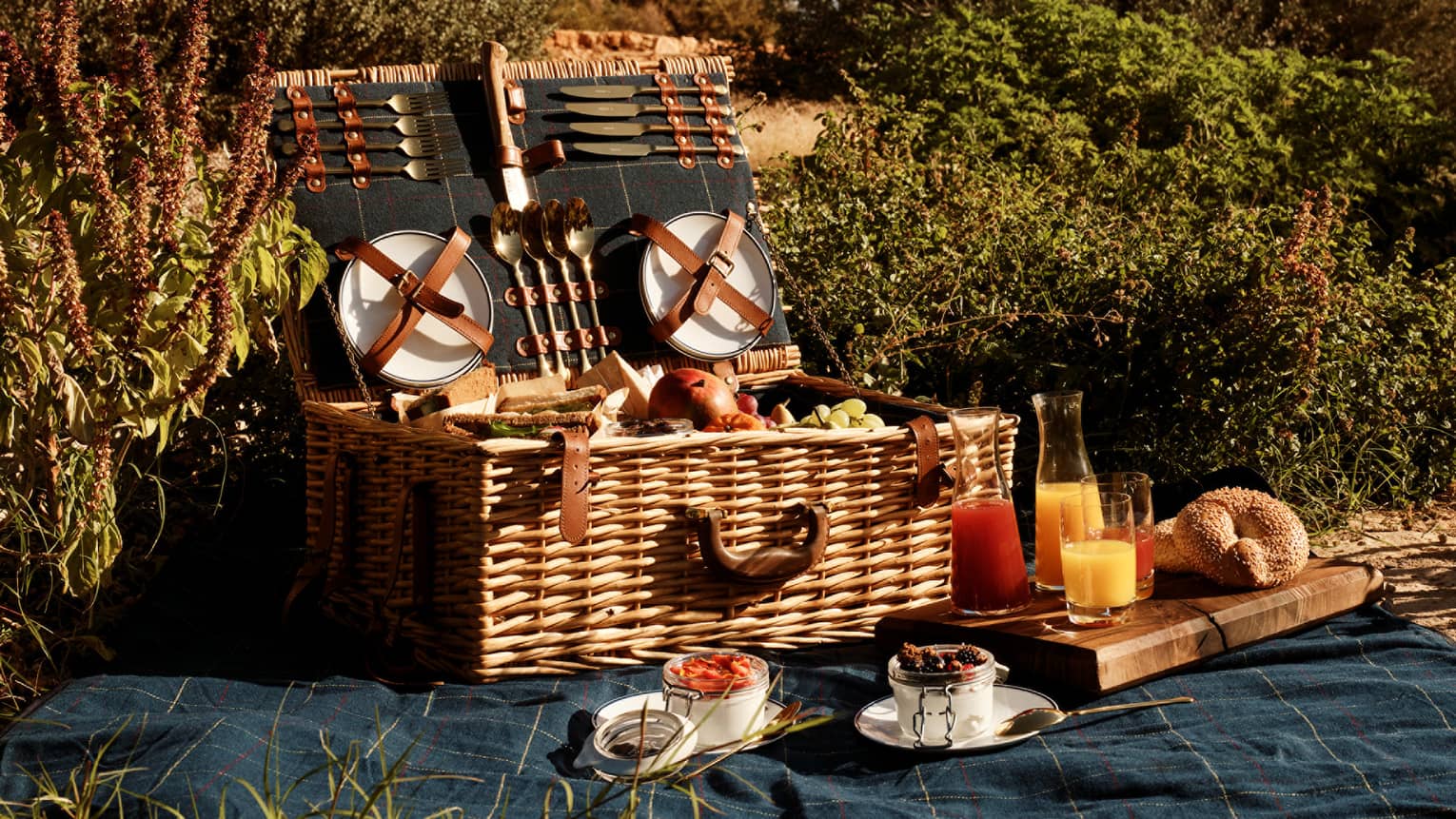 An open picnic basket filled with fresh fruit and bagels is laid out on a blanket in a lush outdoor setting under blue skies.