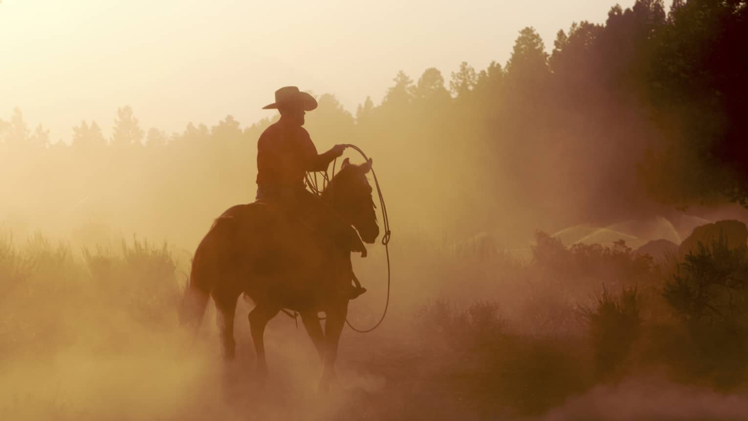 Silhouette of cowboy with rope on horse in misty mountain forest