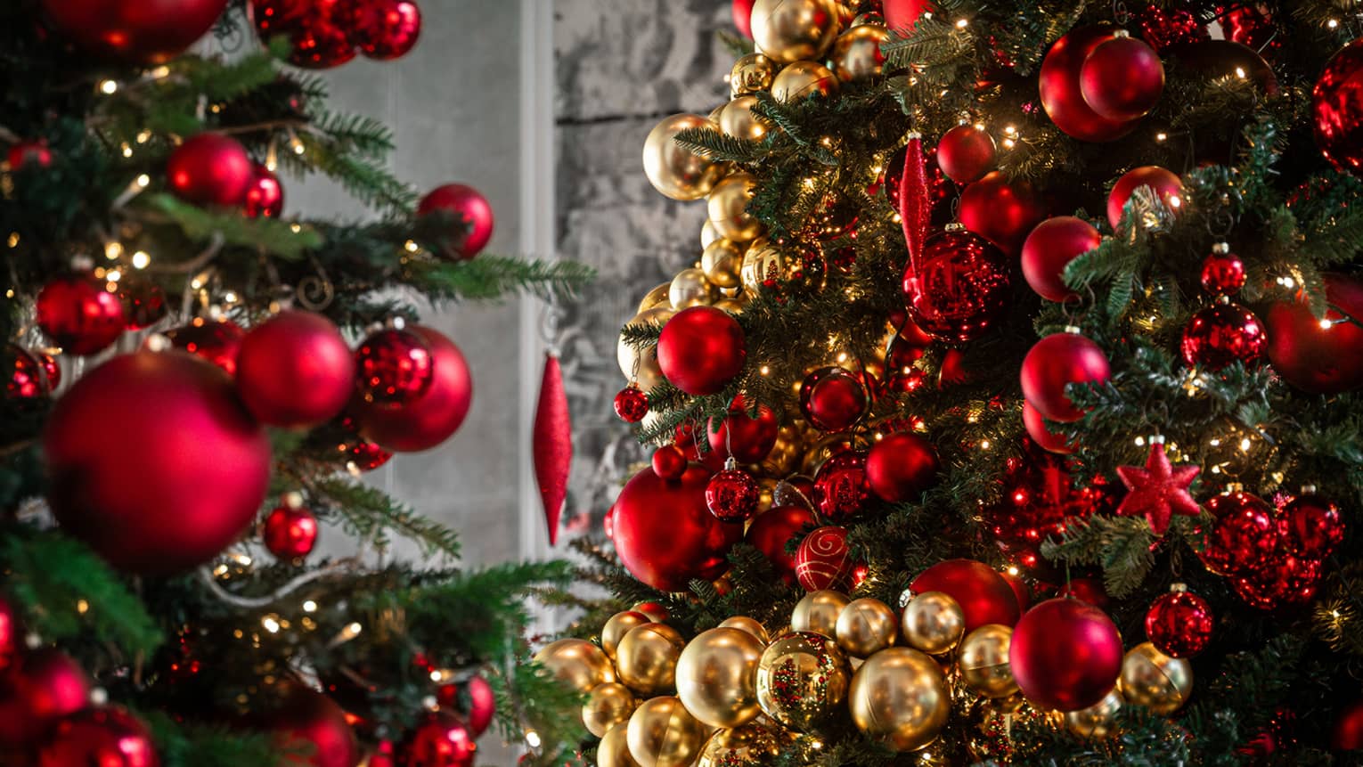 Two giant Christmas trees adorned with red and gold ornaments