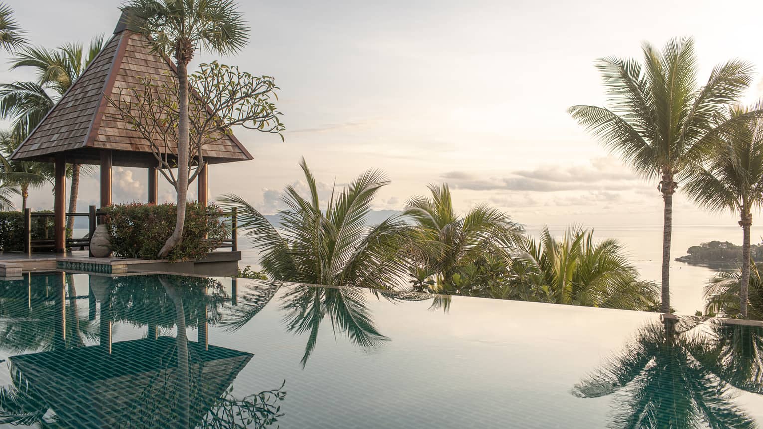 Infinity pool with tropical view