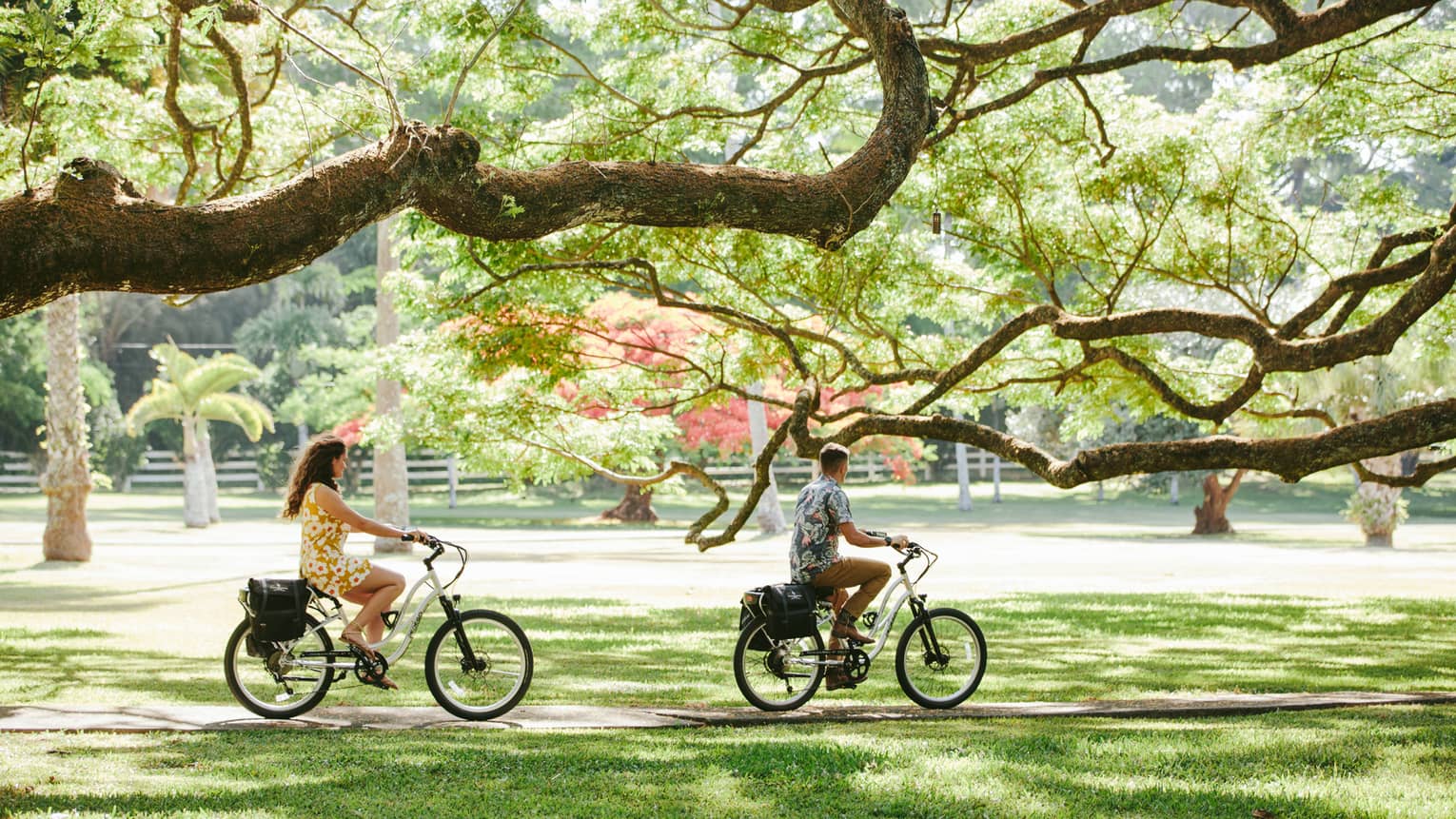 Man and woman ride bicycles through a grove of trees