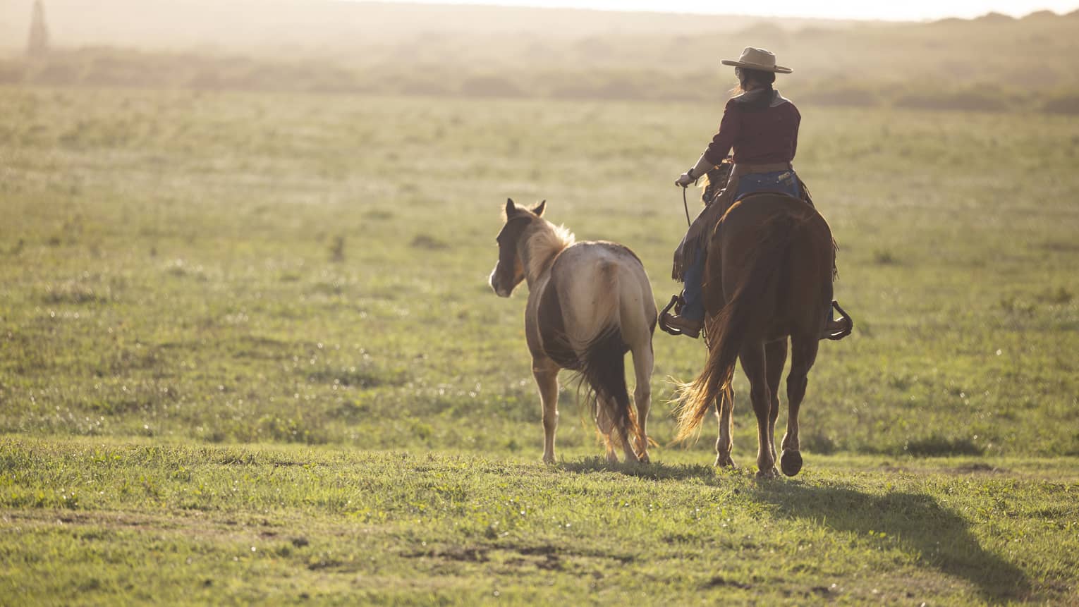 A person walking alongside a horse