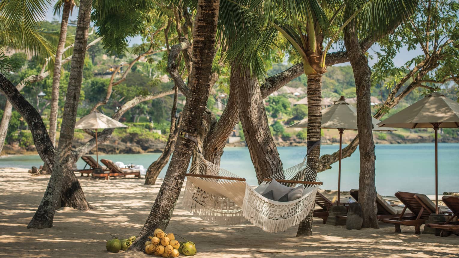 A charming coconut grove on a white sand beach furnished with hammocks, lounge chairs and umbrellas, clear blue water beyond.
