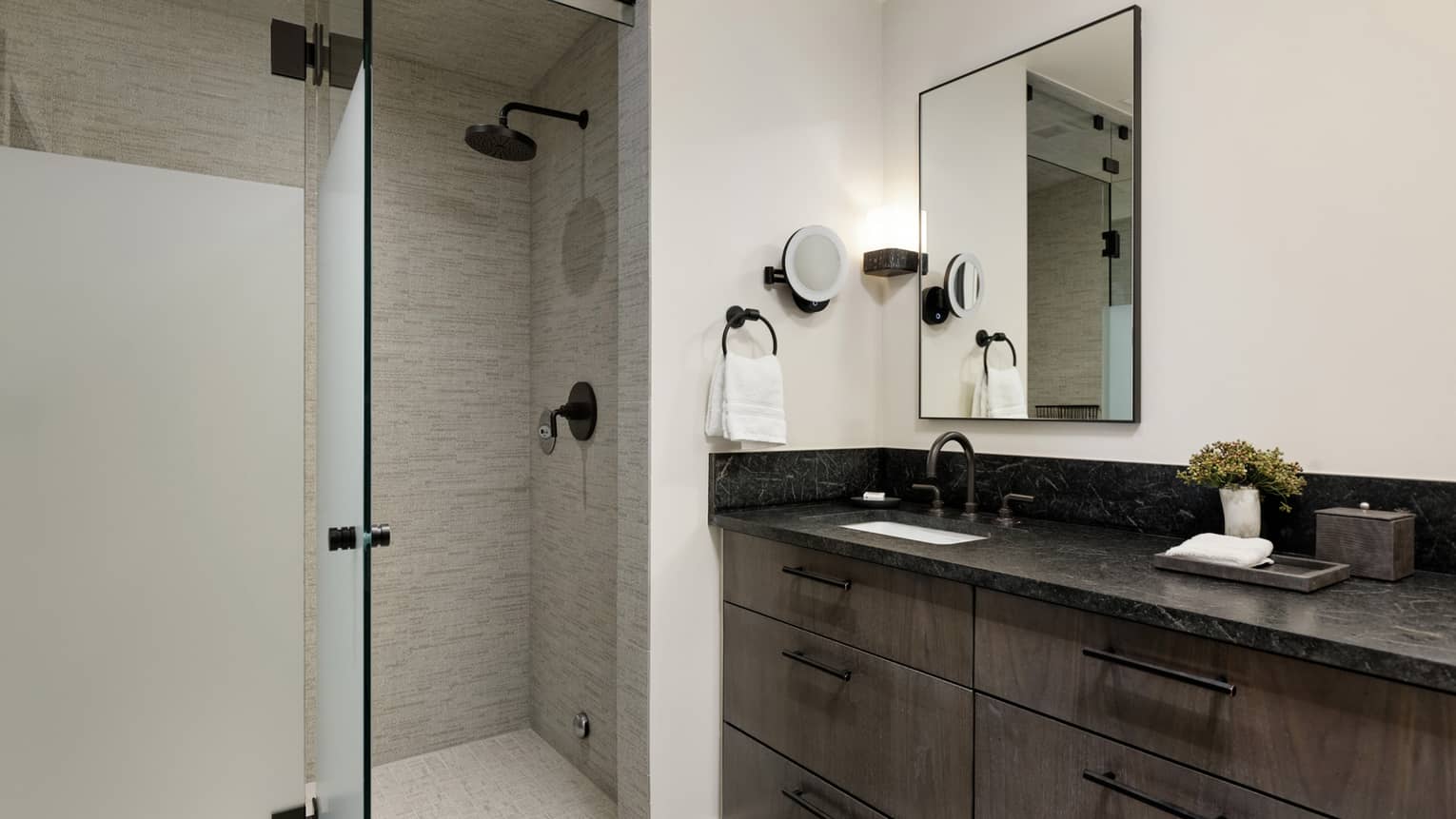 Modern bathroom with walk-in shower
