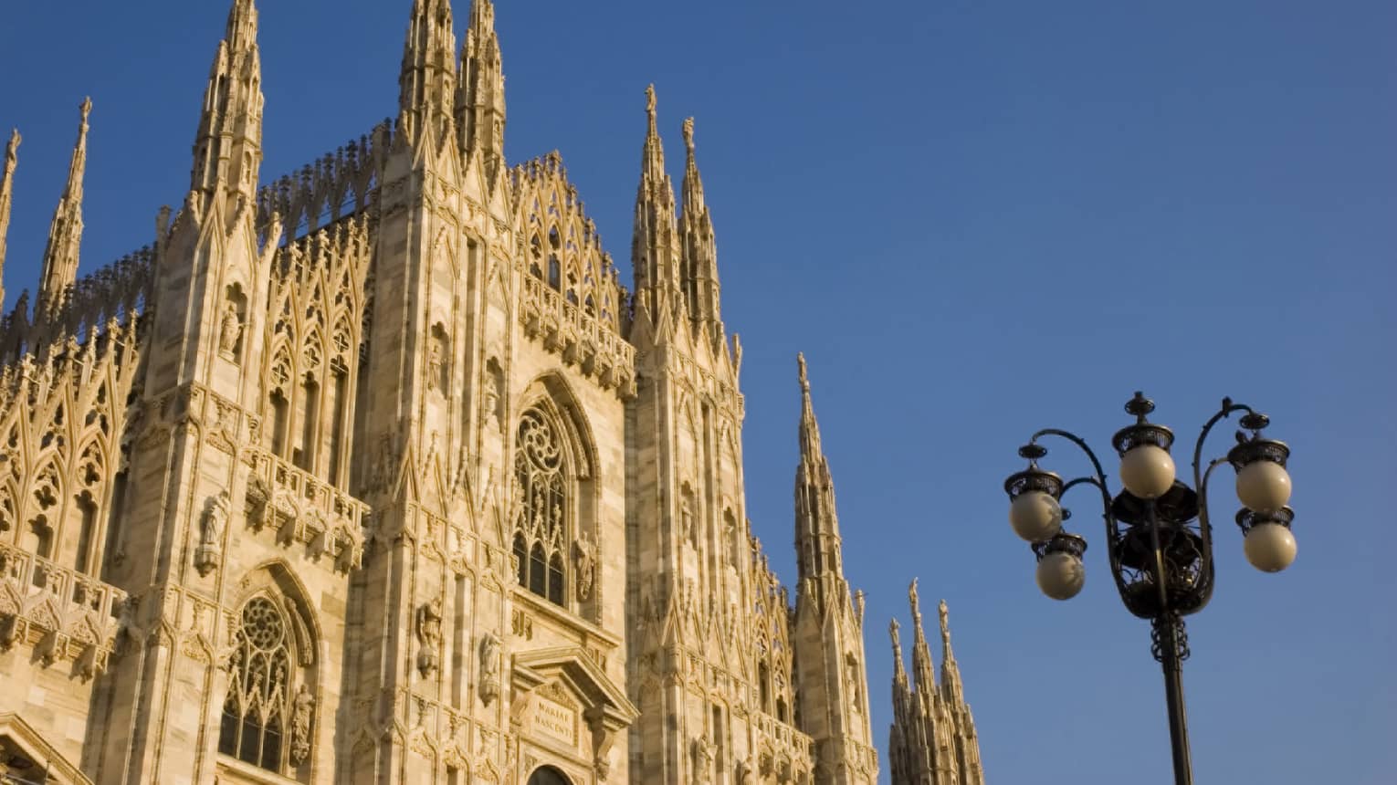 An upward view of a magnificent Gothic cathedral in the afternoon sun. The roof has hundreds of crosses on arches.