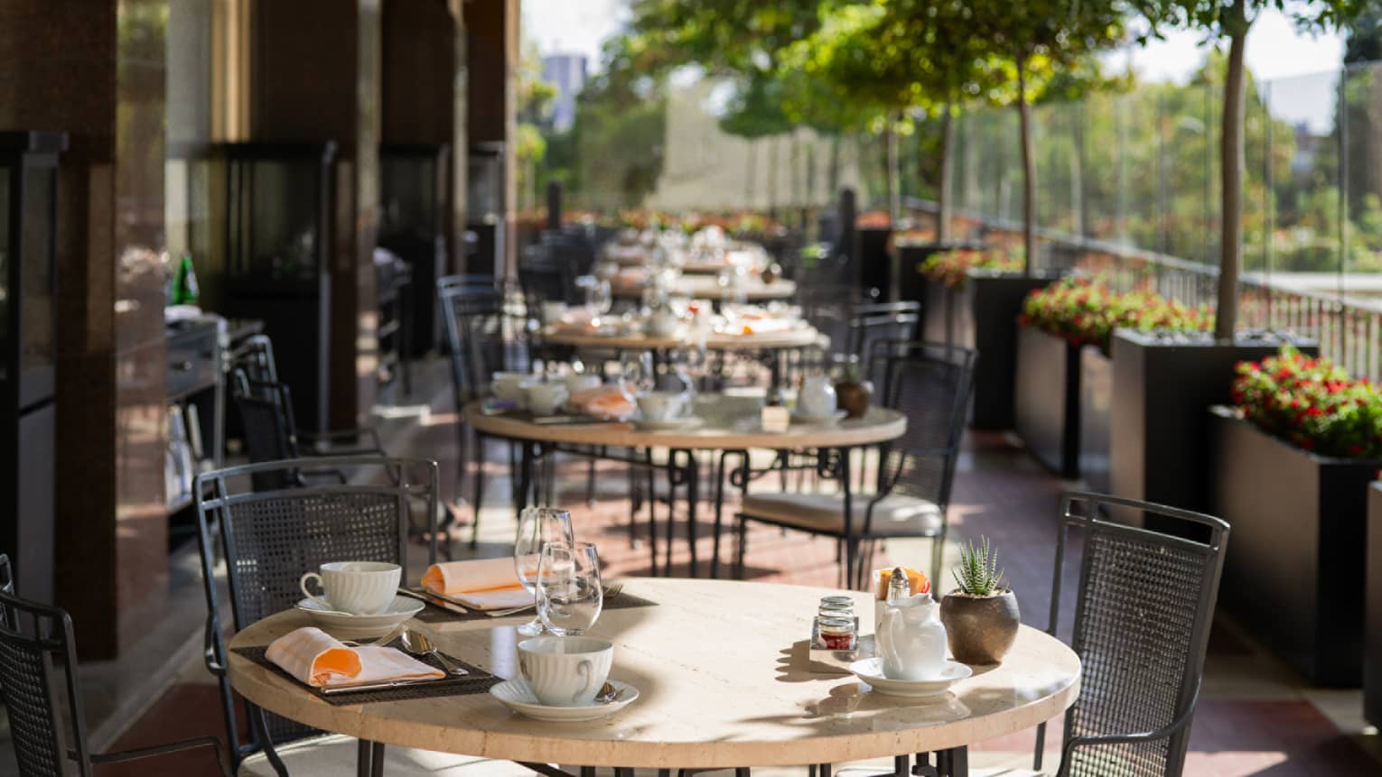 A sunlit outdoor dining patio lined with potted green trees