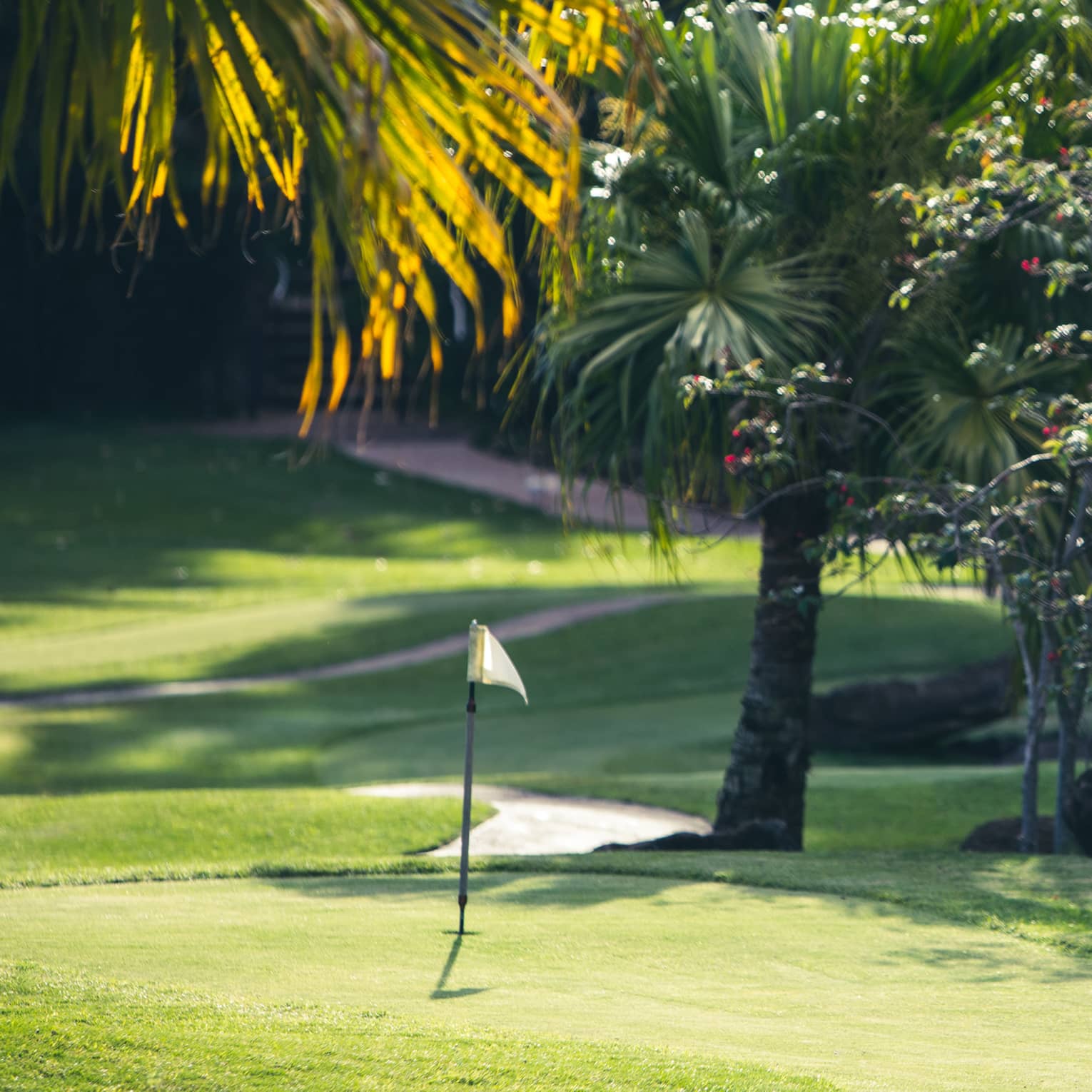 Golf course surrounded by palm trees and large rocks