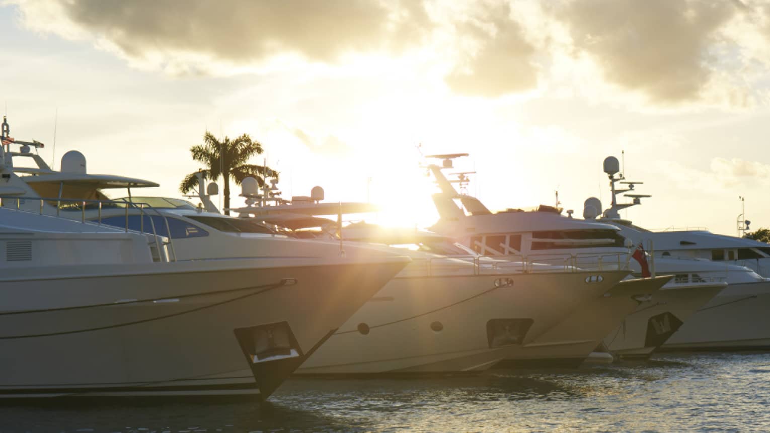 Yachts lined up on water at sunset