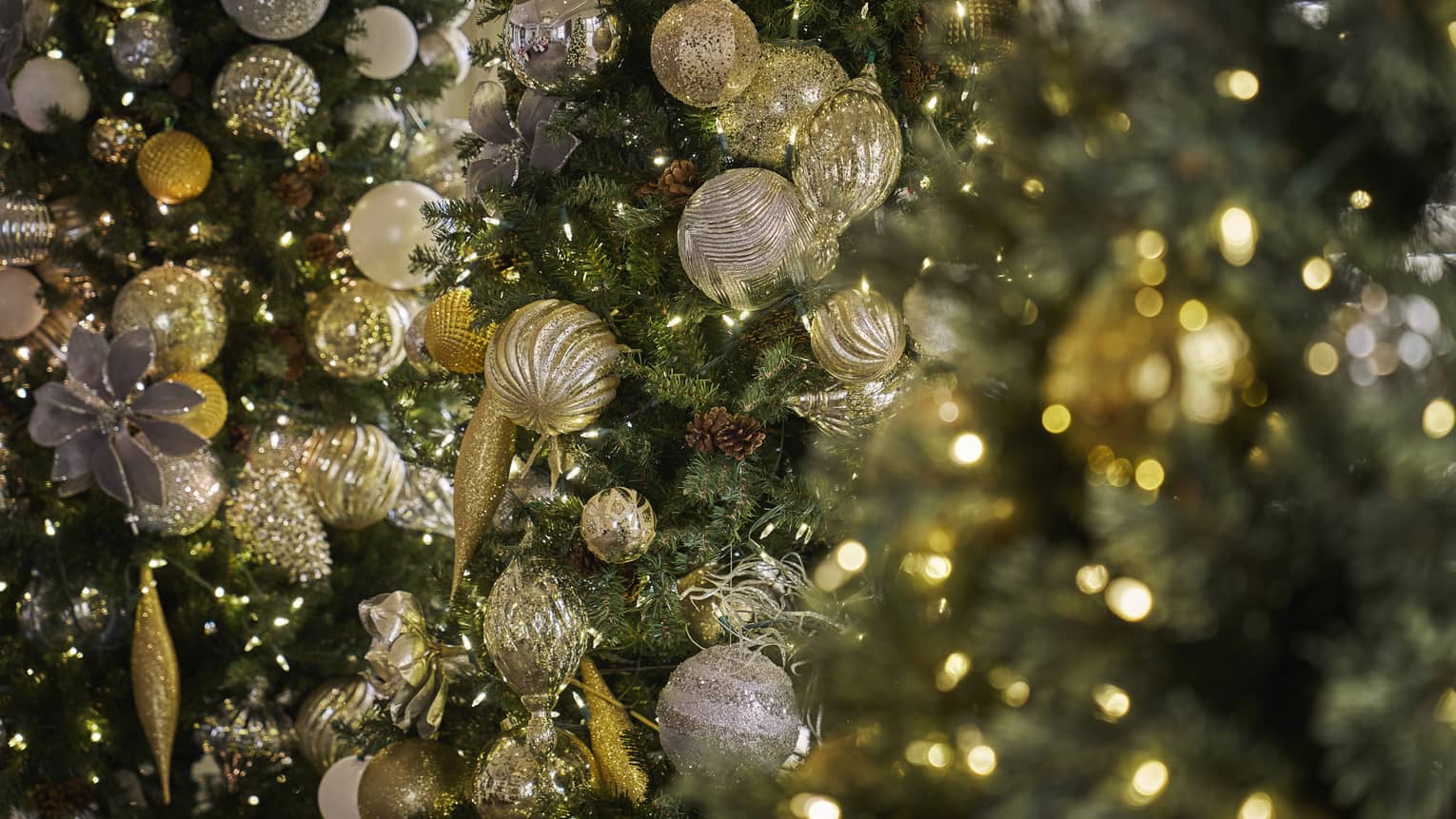 Closeup of Christmas tree with gold ornaments and white string lights