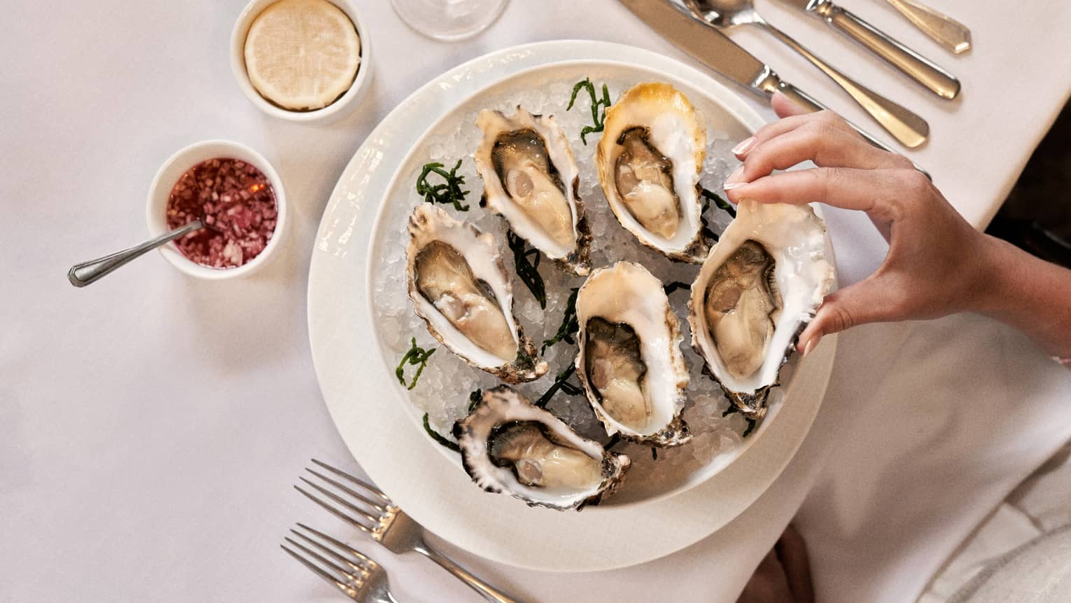 Hand picking up an in-shell oyster from ice-filled bowl of five more in-shell oysters in elegant place setting