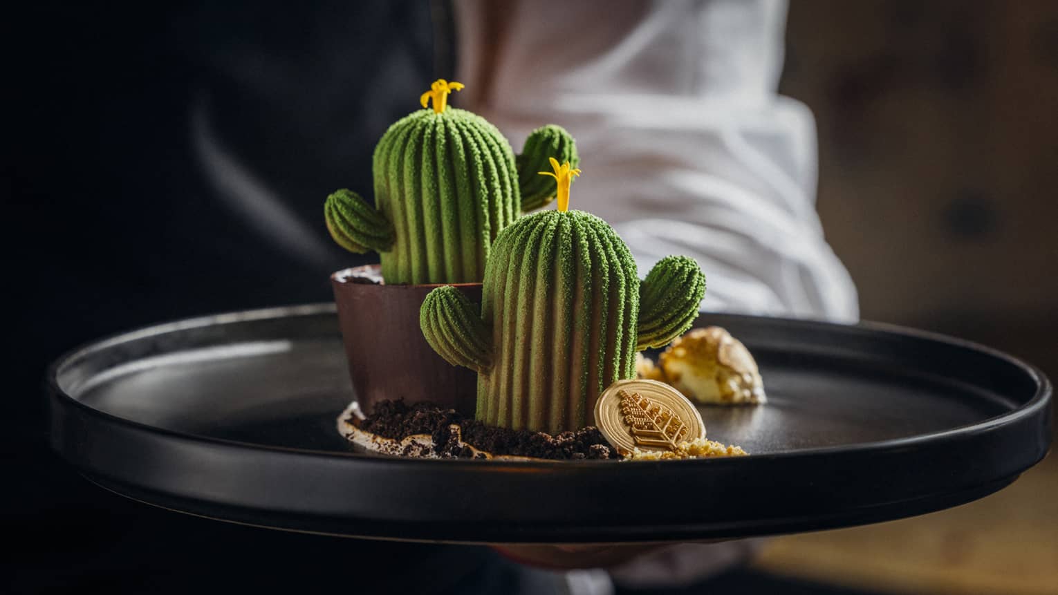 Cactus-looking fine dining dish