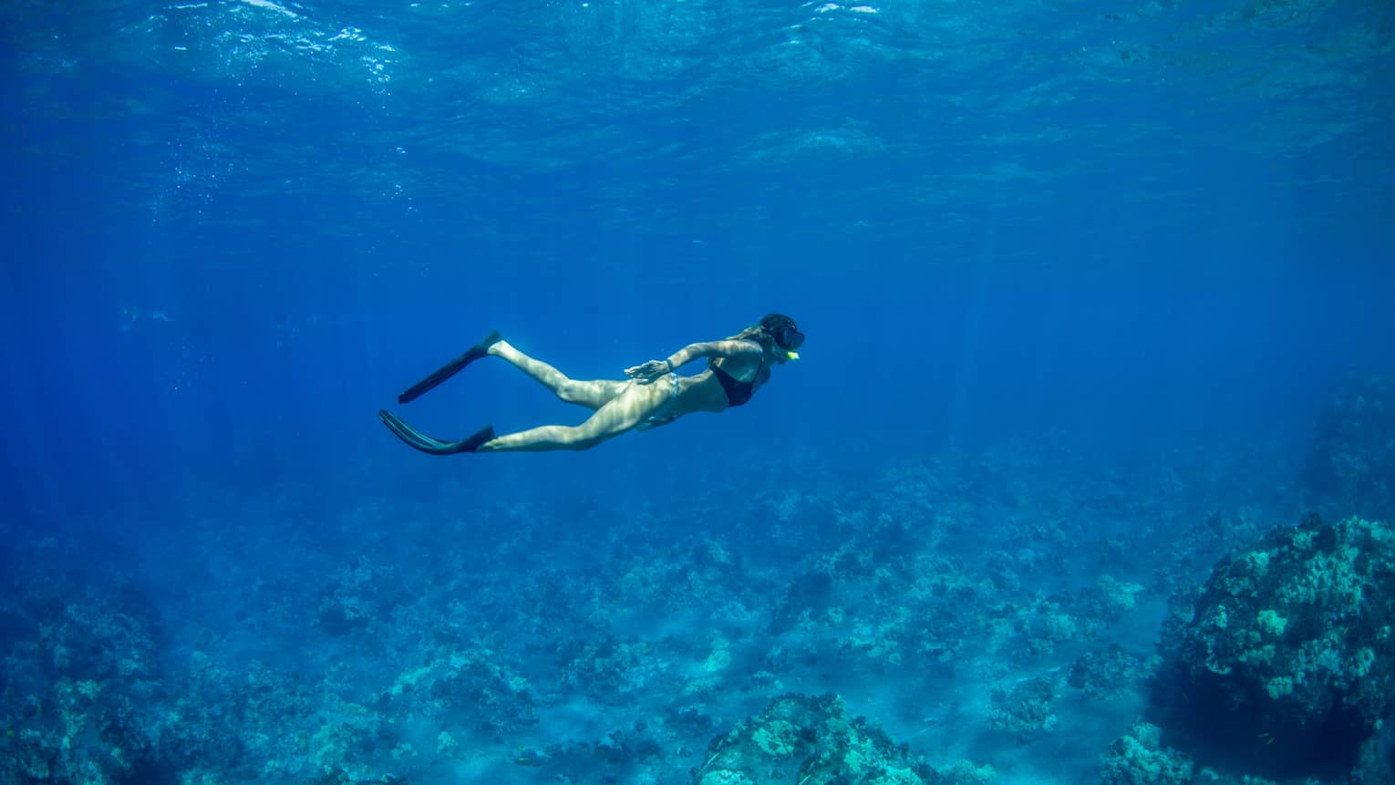 A snorkeller in black flippers and mask explores a rocky coral reef below, as rays of sunlight filter from above the blue water.