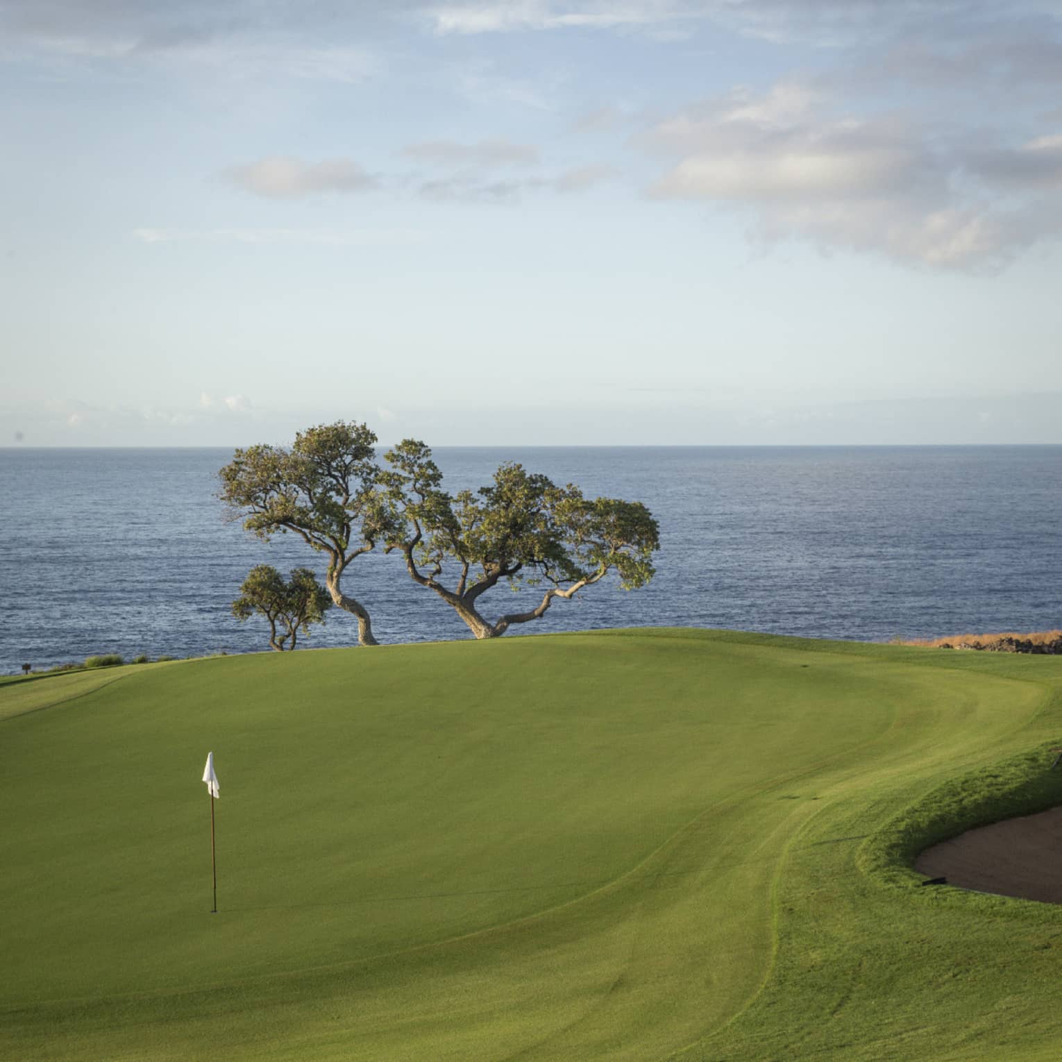 Manicured golf green with white flag in a hole, sloping upwards toward a backdrop of sculptural tree, grey-blue ocean beyond.