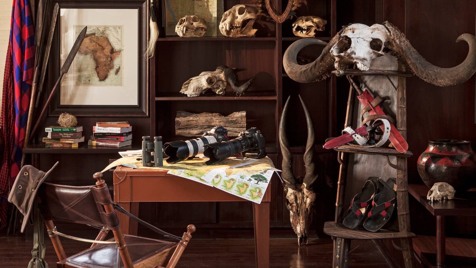 Two cameras with telephoto lenses, binoculars on Discovery Centre table, skulls