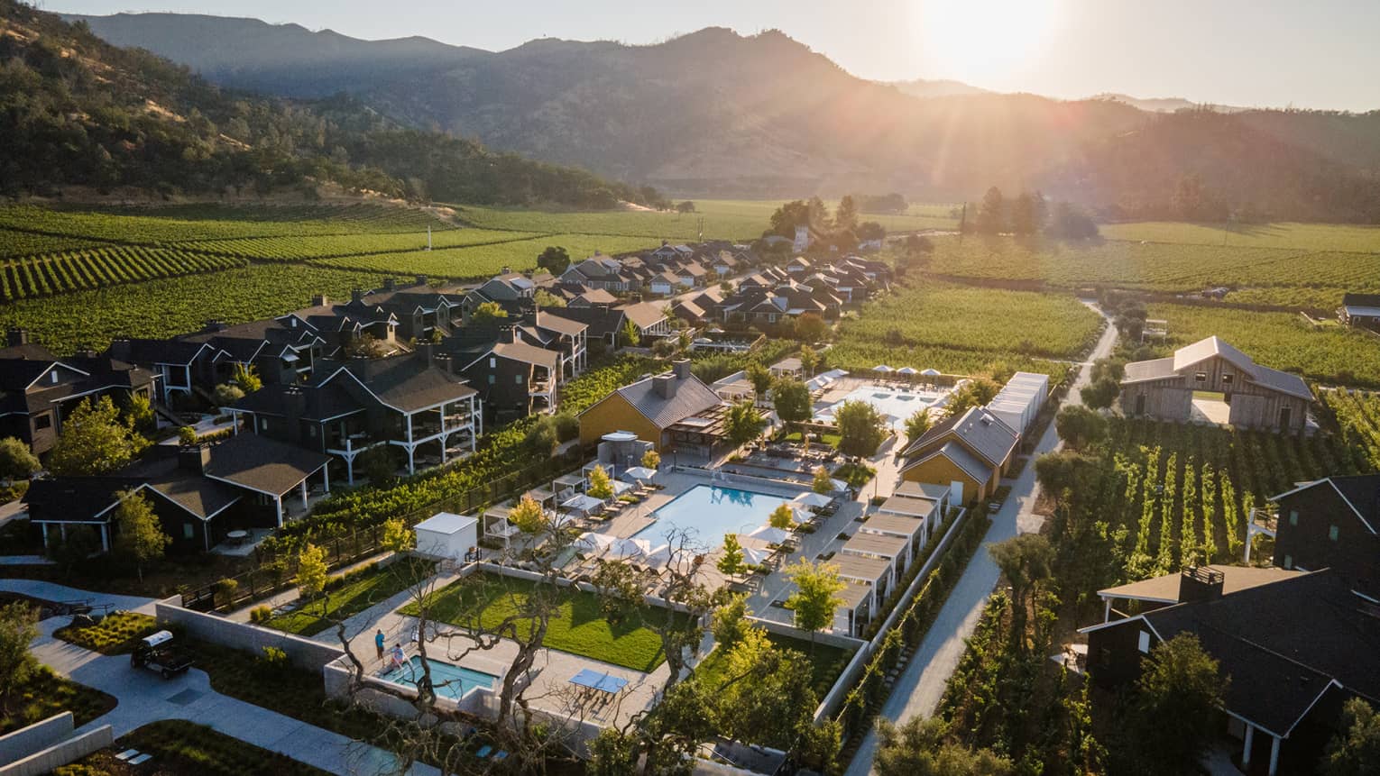 Aerial view of a vineyard with three pools and buildings.