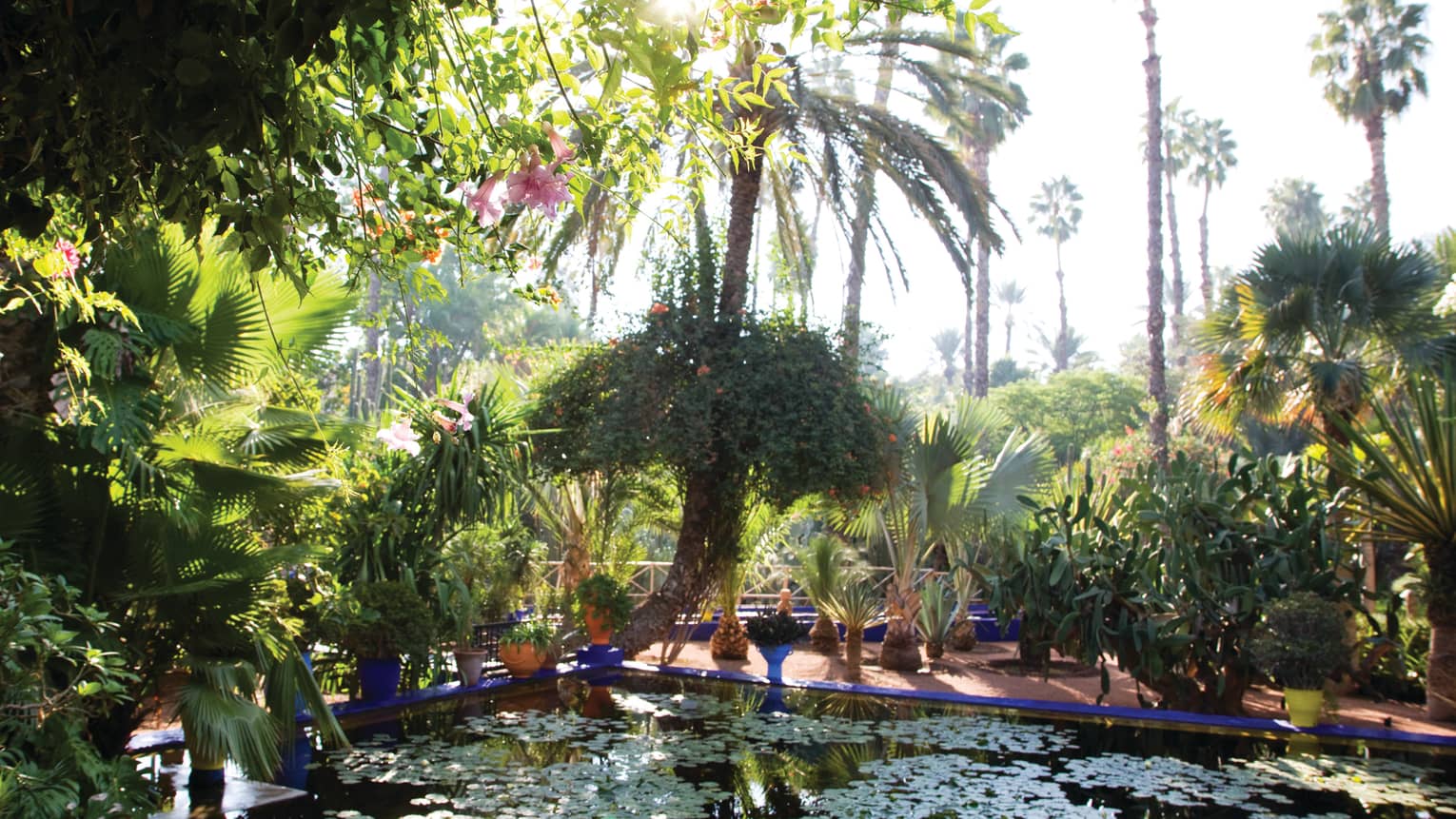 Palm trees, tropical plants around patio, outdoor pond with lily pads