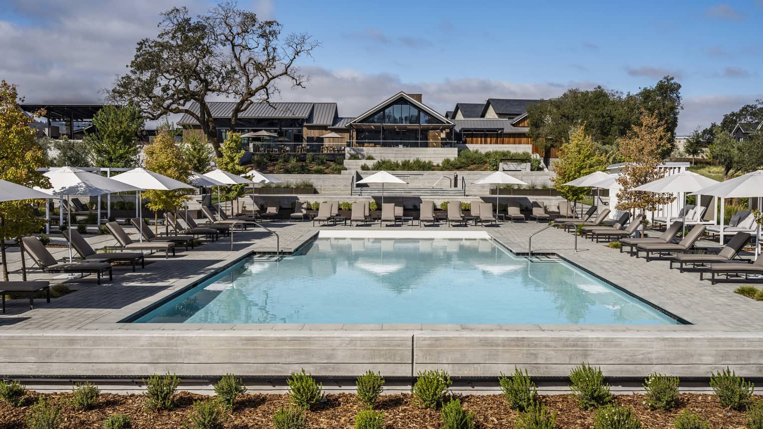 An outdoor pool surrounded by lounge chairs, white umbrellas and small plants.