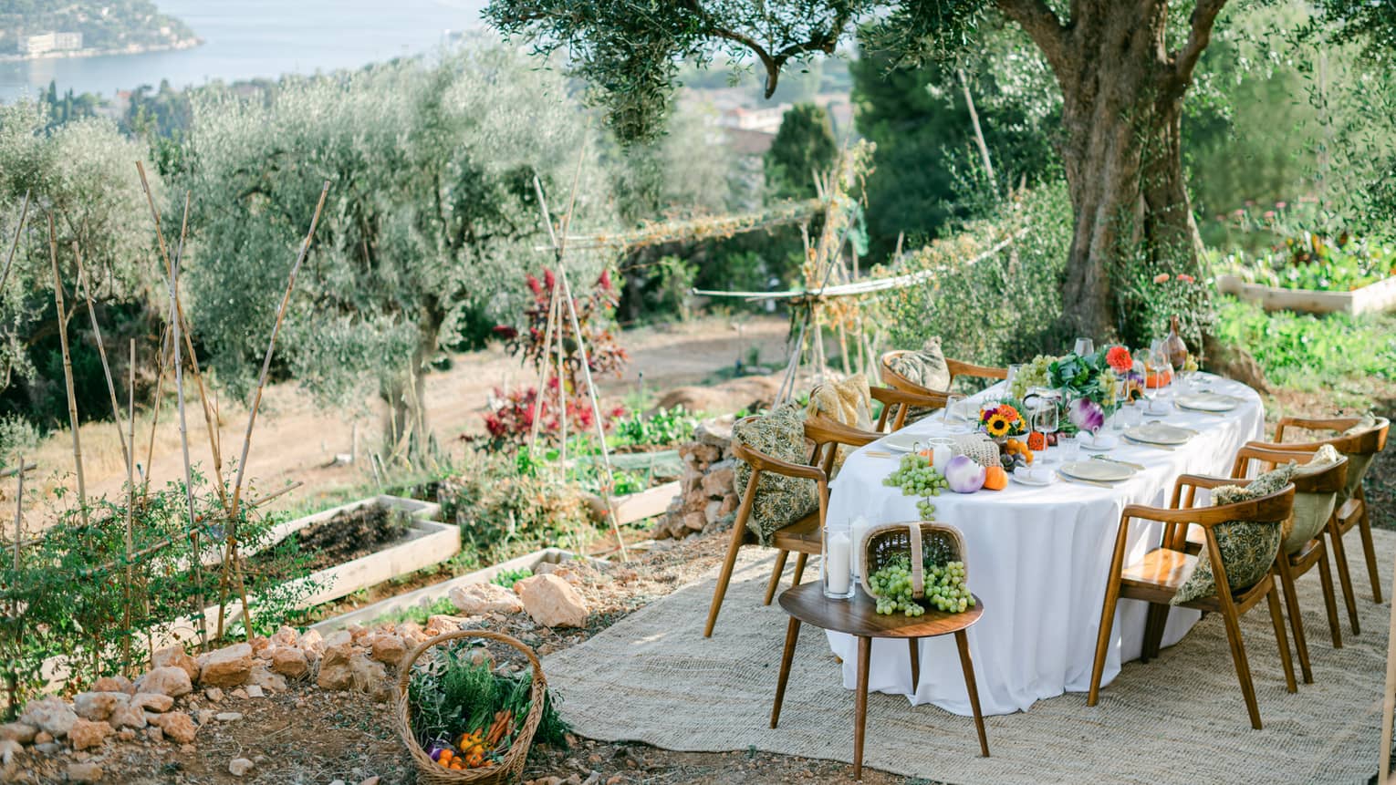 Garden dining setup with oval table draped in white and garden bounty down centre, and six chairs with pillows