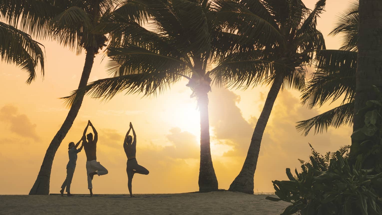 The morning sun silhouetting a couple doing yoga poses with an instructor on a beach surrounded by palm trees and greenery.