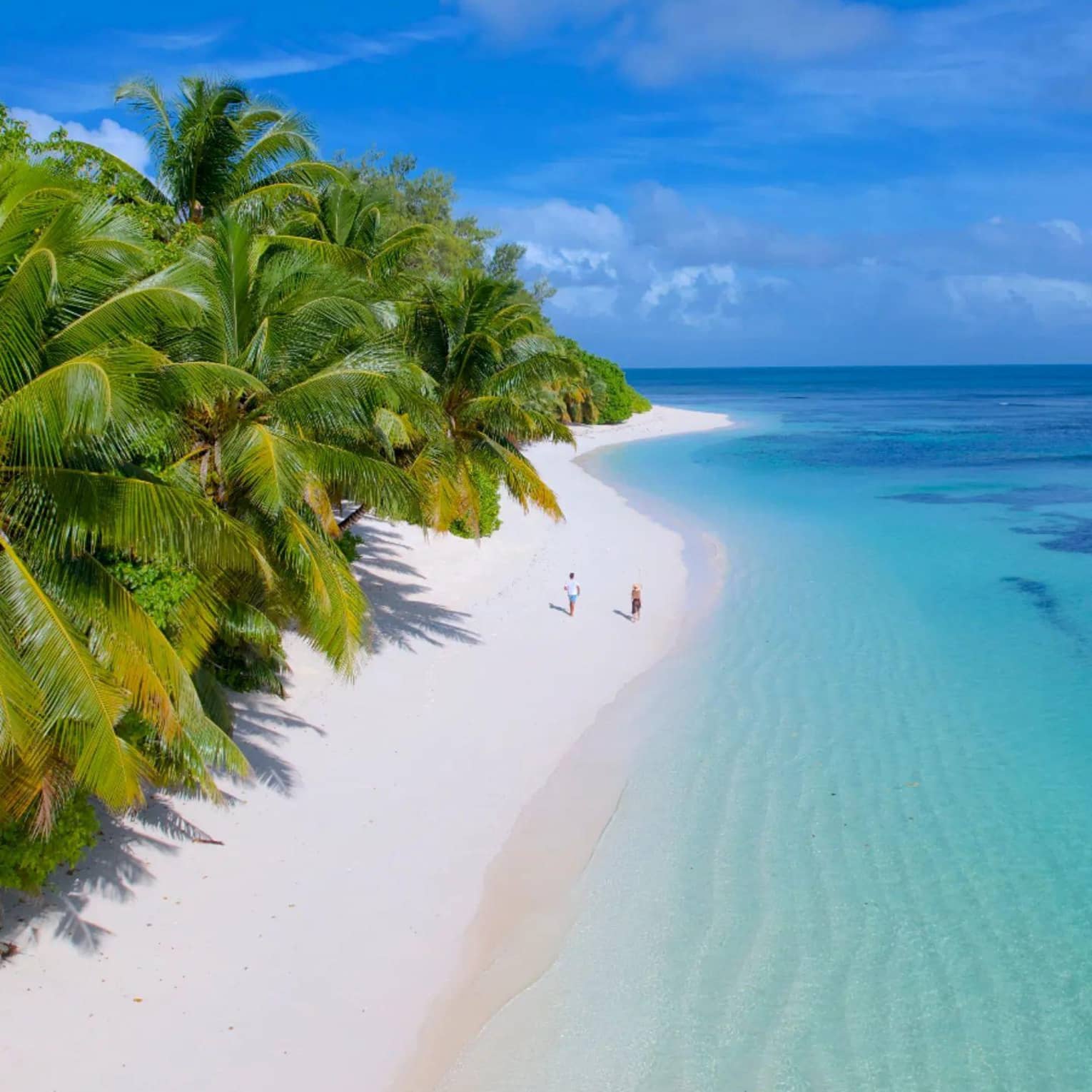 Aerial view of a couple walking on a beach next to lush palm trees and crystal clear blue waters