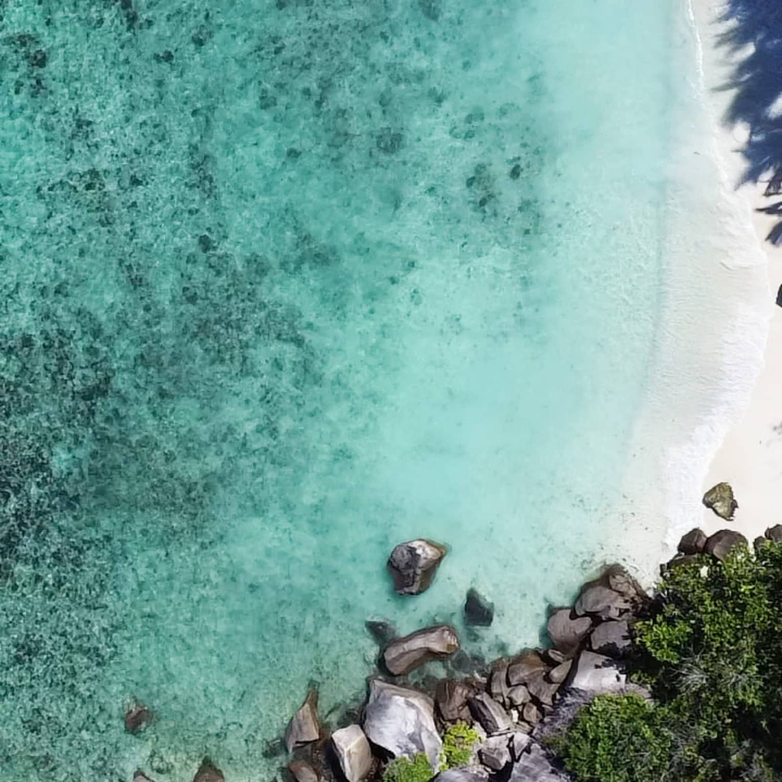 Aerial view of dappled turquoise water and a slice of beach, along a coastline marked by jagged rocks amid lush vegetation.
