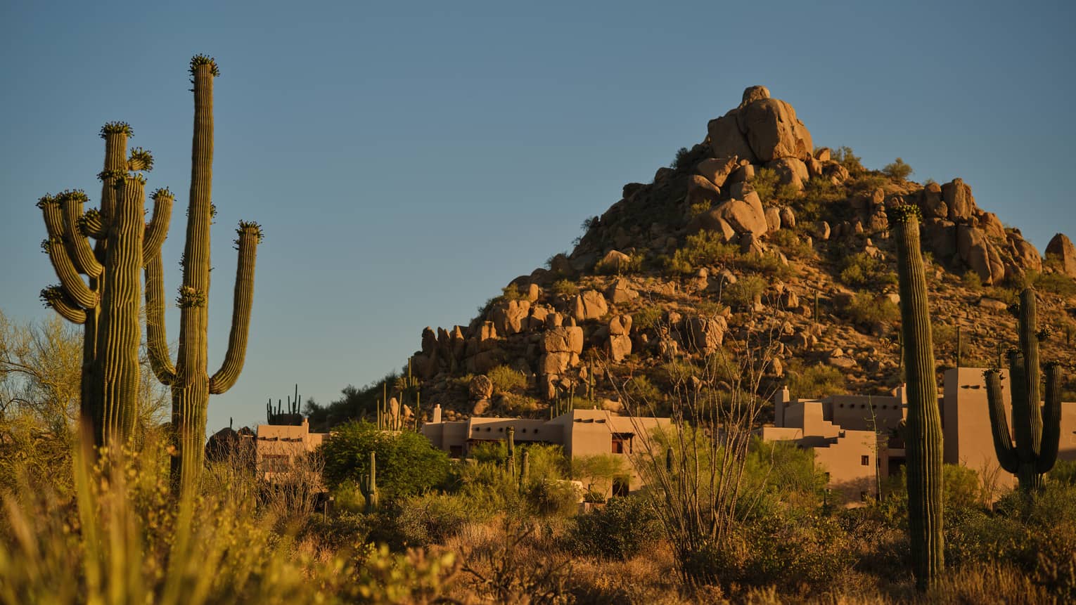 Desert landscape at Four Seasons Resort Scottsdale