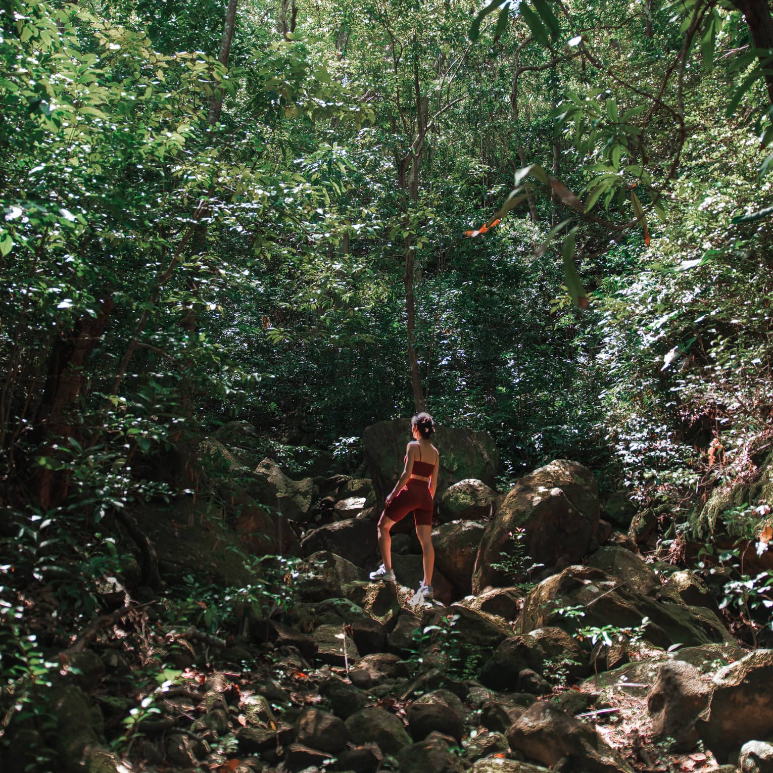 Woman in athletic wear standing atop a rocky hill and surrounded by green forest