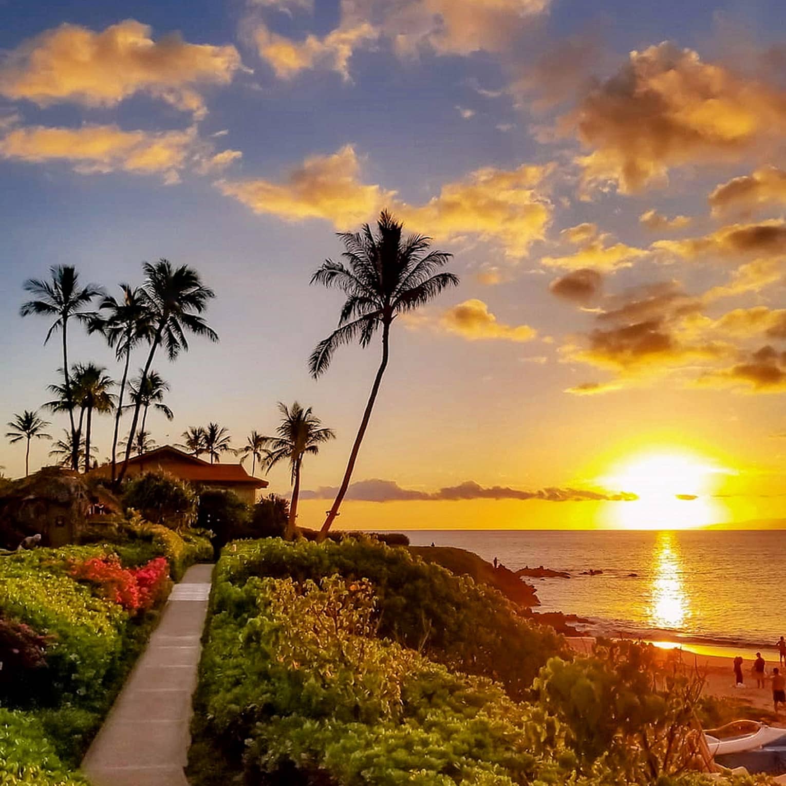 A narrow walking path leads to a hut surrounded by palm trees, with the ocean reflecting the brilliant golden sunset glow.