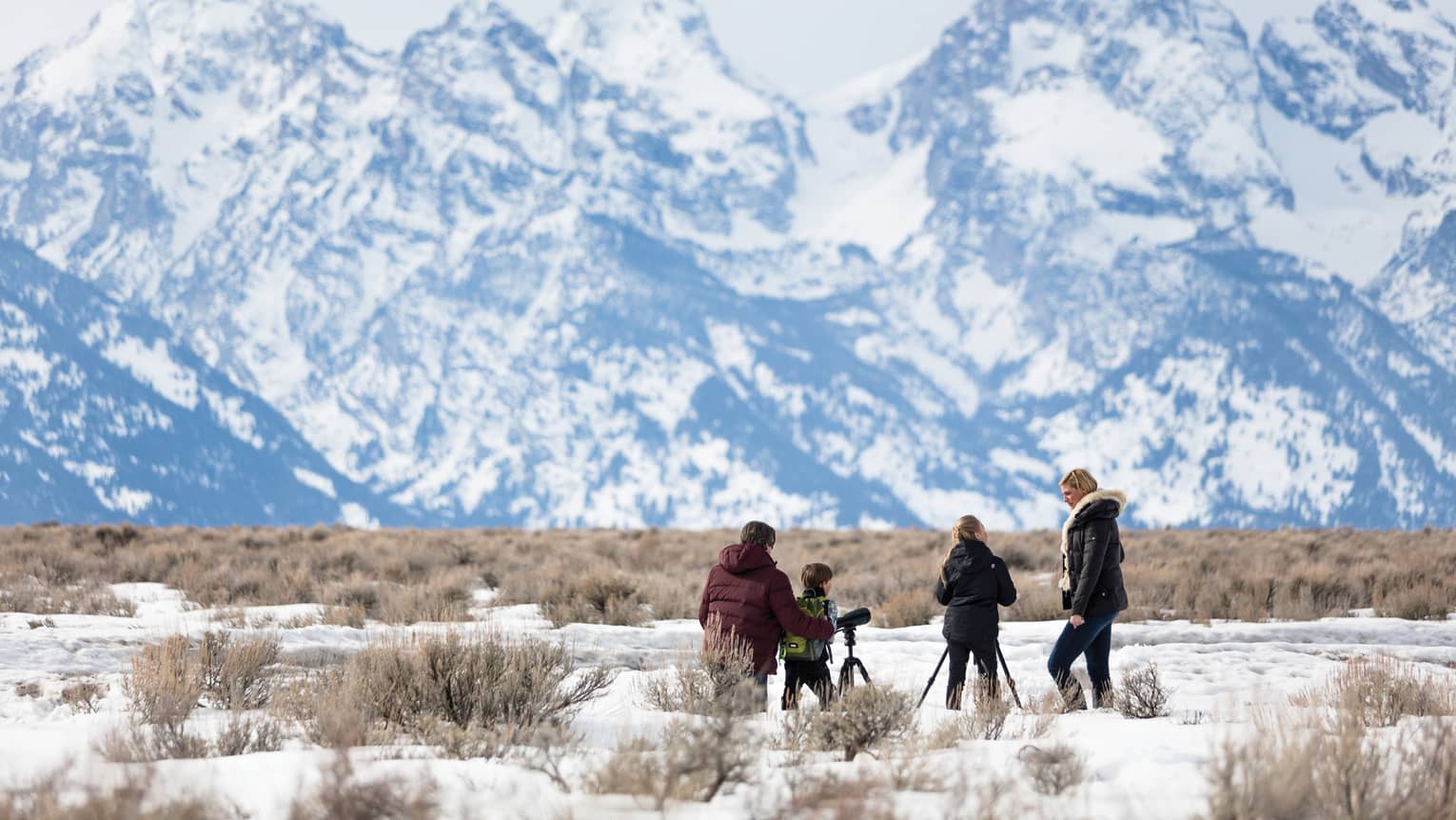 Four guests on a mountain with cameras