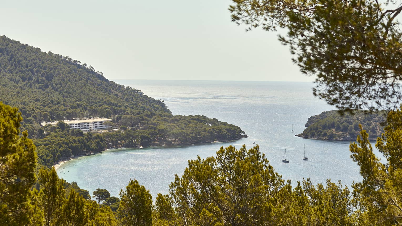 Hilltop view of a resort nestled among trees overlooking a shimmering bay dotted with sailboats and wide ocean vista beyond.