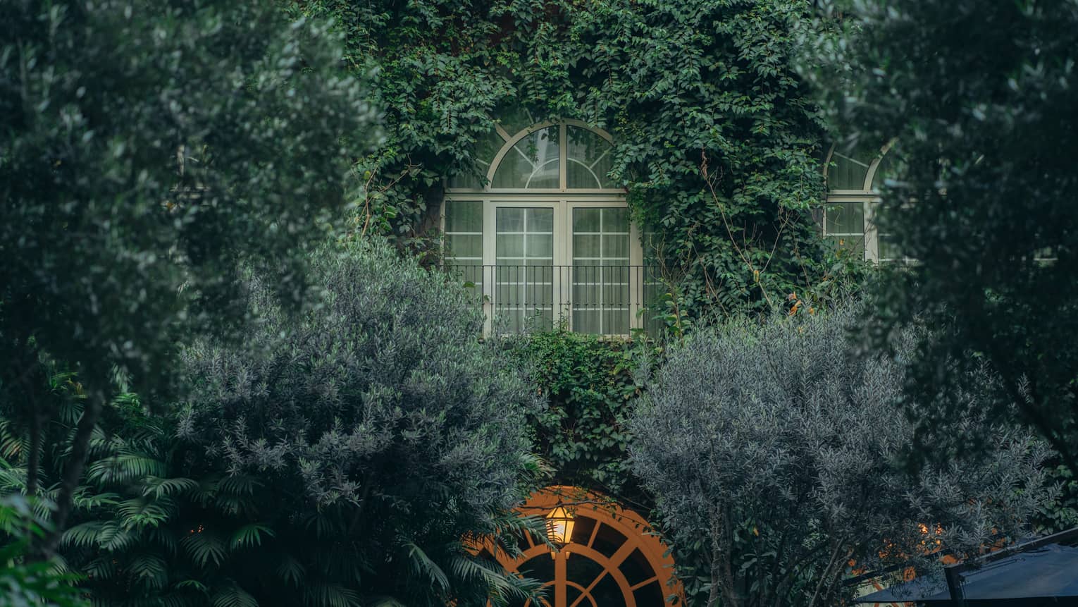 A foliage-covered exterior wall with windows peeking out of the greenery