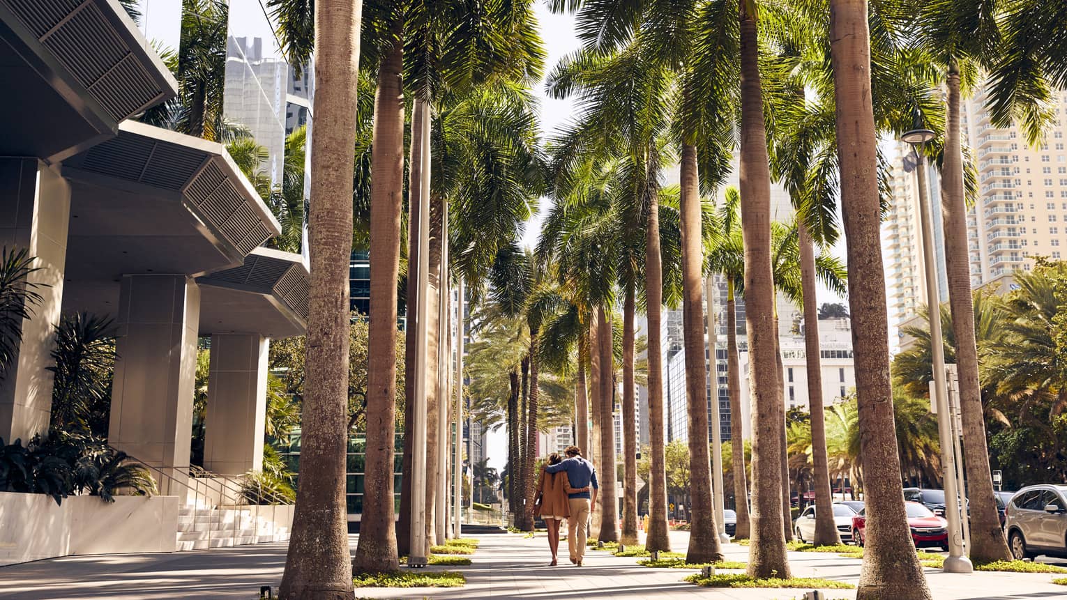 Couple walks in arm in arm down a palm tree?lined sidewalk