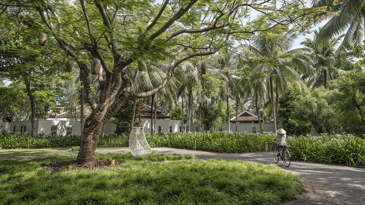 A park with a tree that has a chair and baskets hanging from it, surrounded by other greenery, and a cyclist riding through.