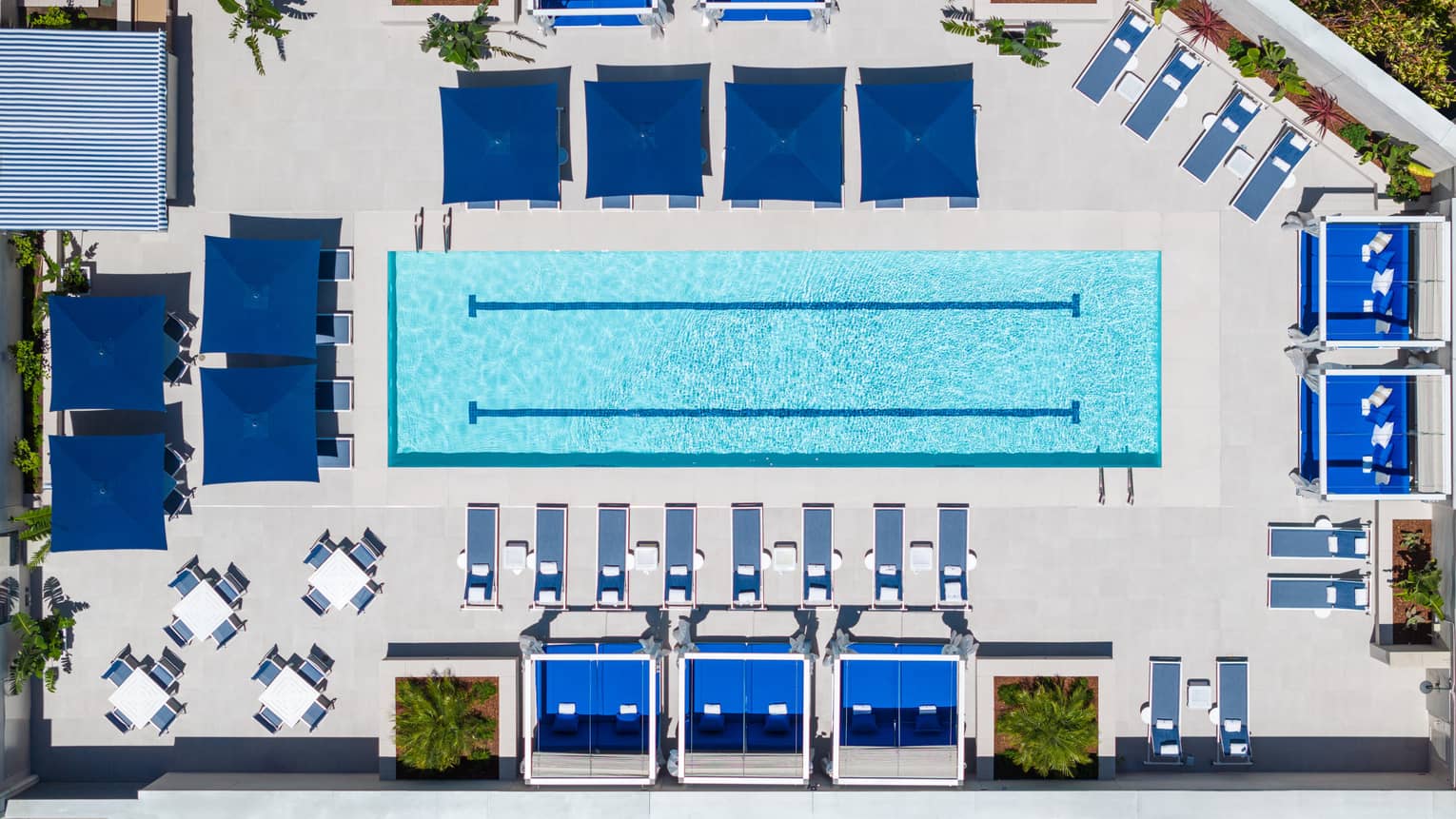 Aerial view of the pool with palm trees and blue umbrellas.