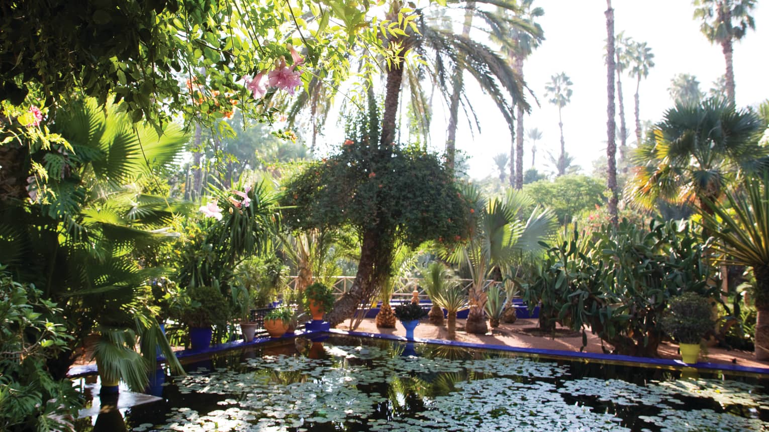 Palm trees, tropical plants around patio, outdoor pond with lily pads