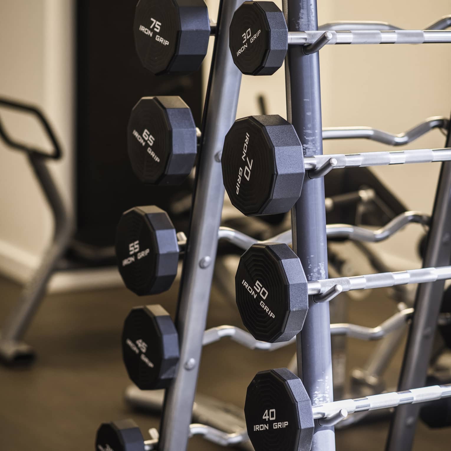 Close-up of a barbell rack holding both standard and curl bars in various fixed weights.