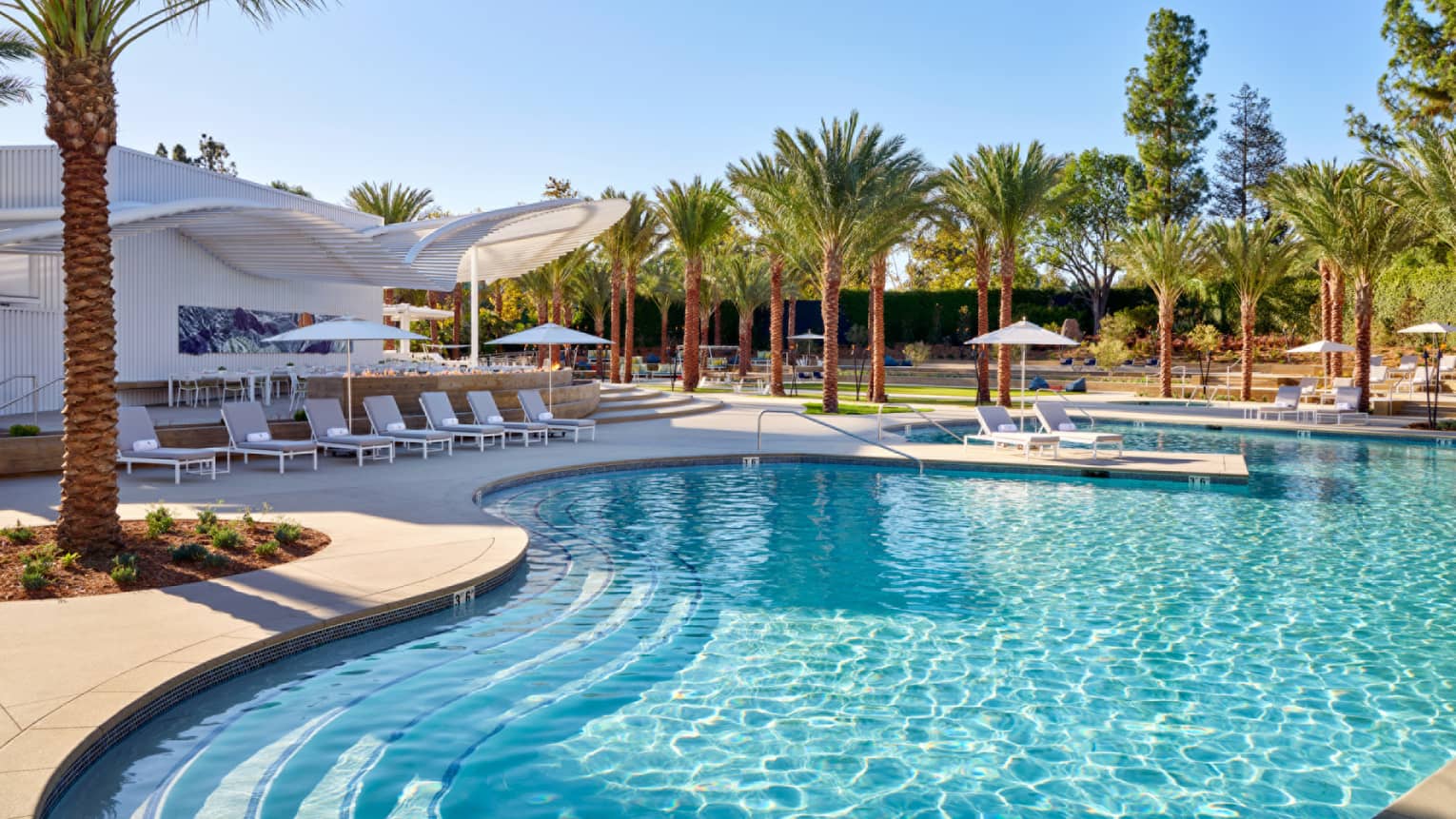Pool with clear water, palm trees and lounge chairs.