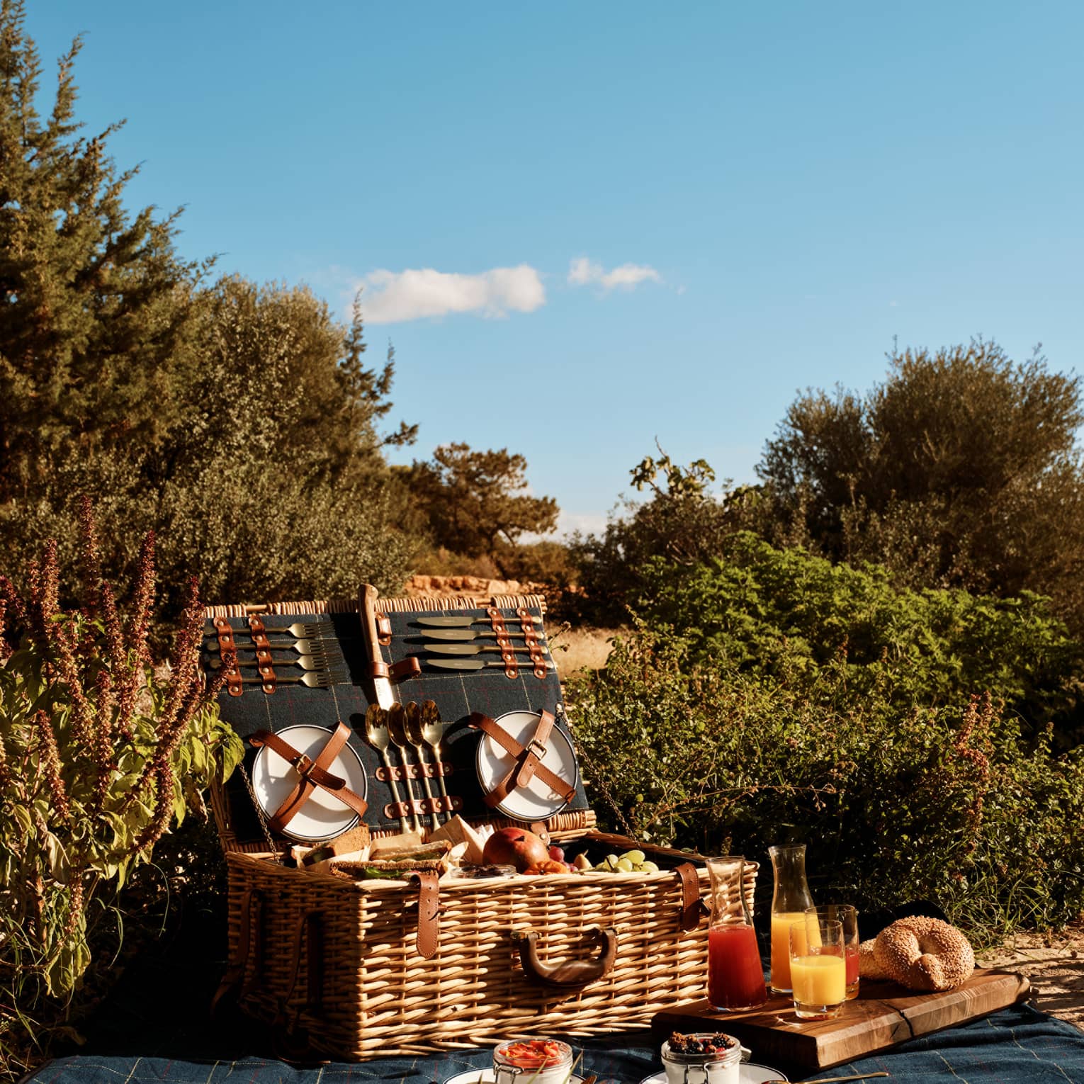 An open picnic basket filled with fresh fruit and bagels is laid out on a blanket in a lush outdoor setting under blue skies.