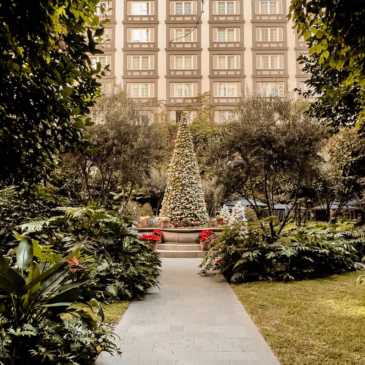 A Christmas tree outside.